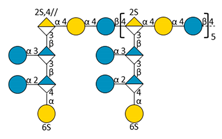 Molecules 24 03441 i006 Molecules 24 03441 i006
