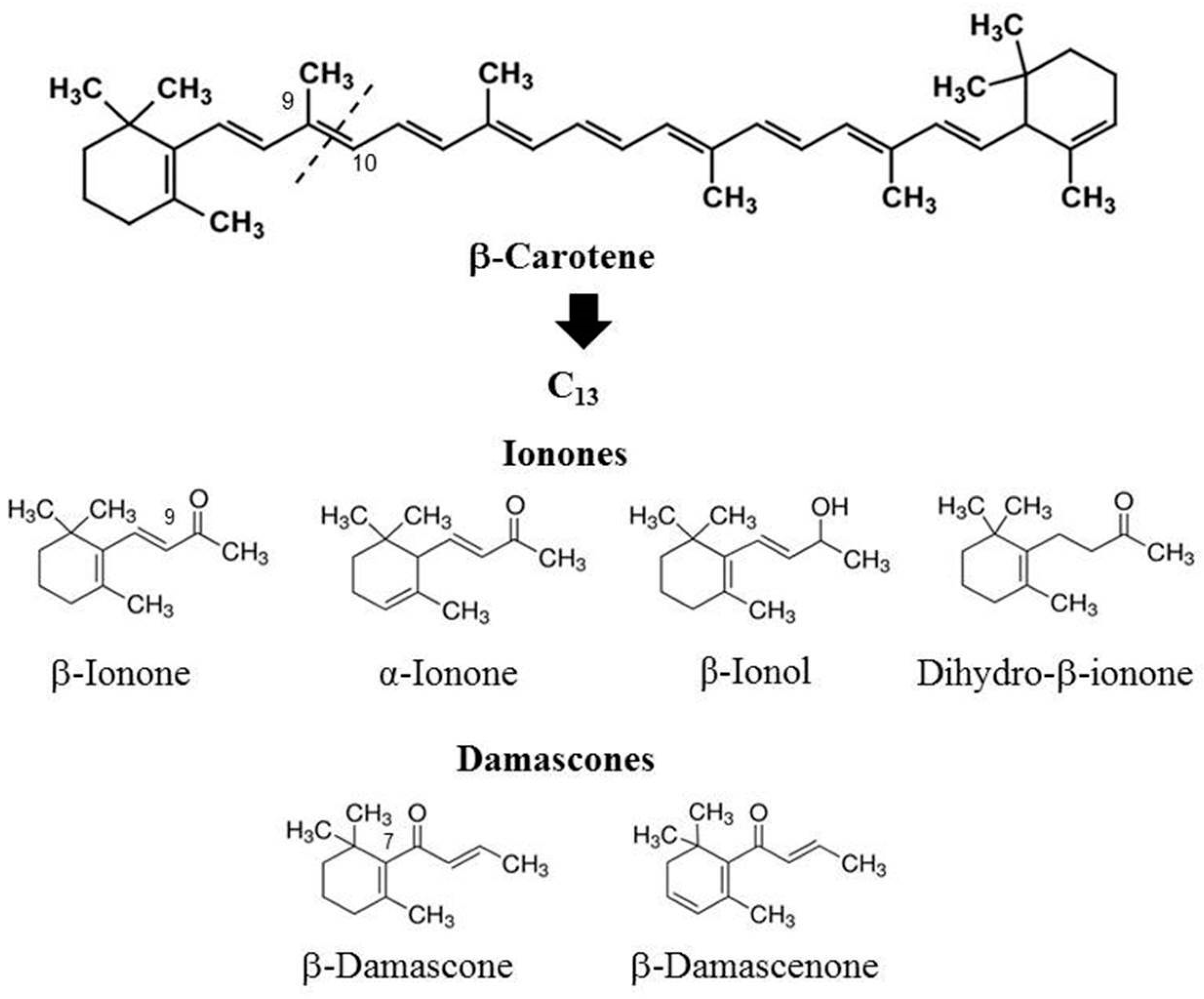 Molecules 24 03446 g001 Molecules 24 03446 g001