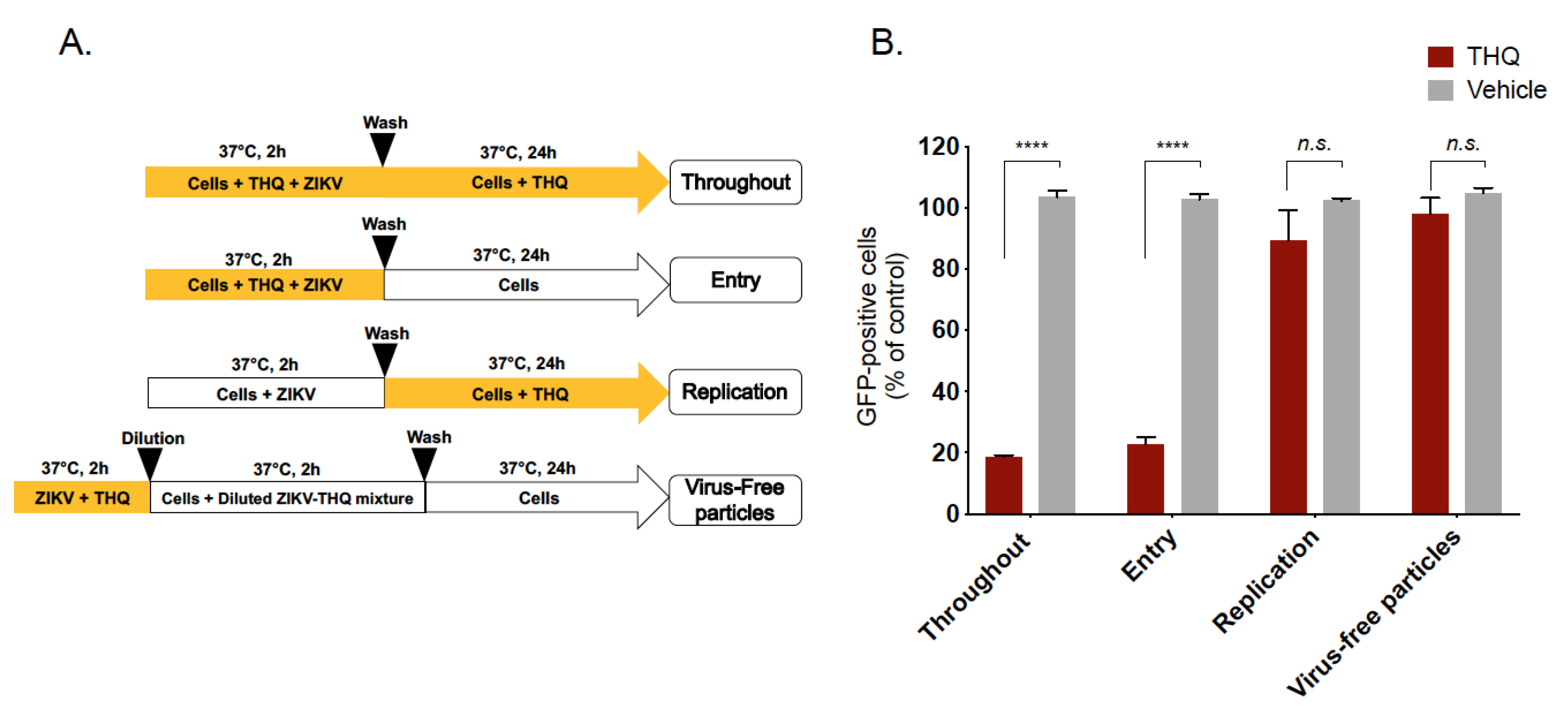Molecules 24 03447 g003 Molecules 24 03447 g003