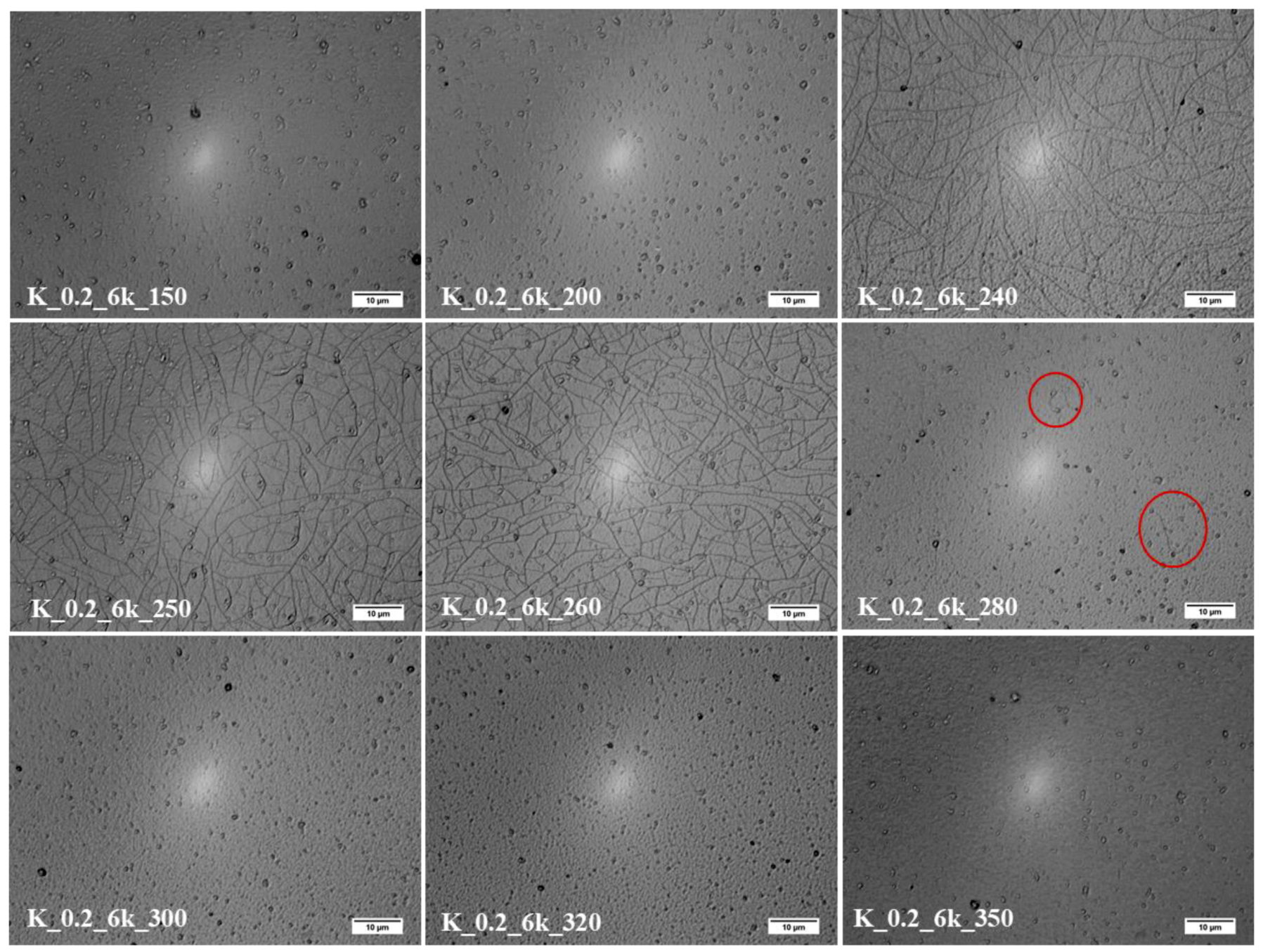 Molecules 24 03454 g004 Molecules 24 03454 g004