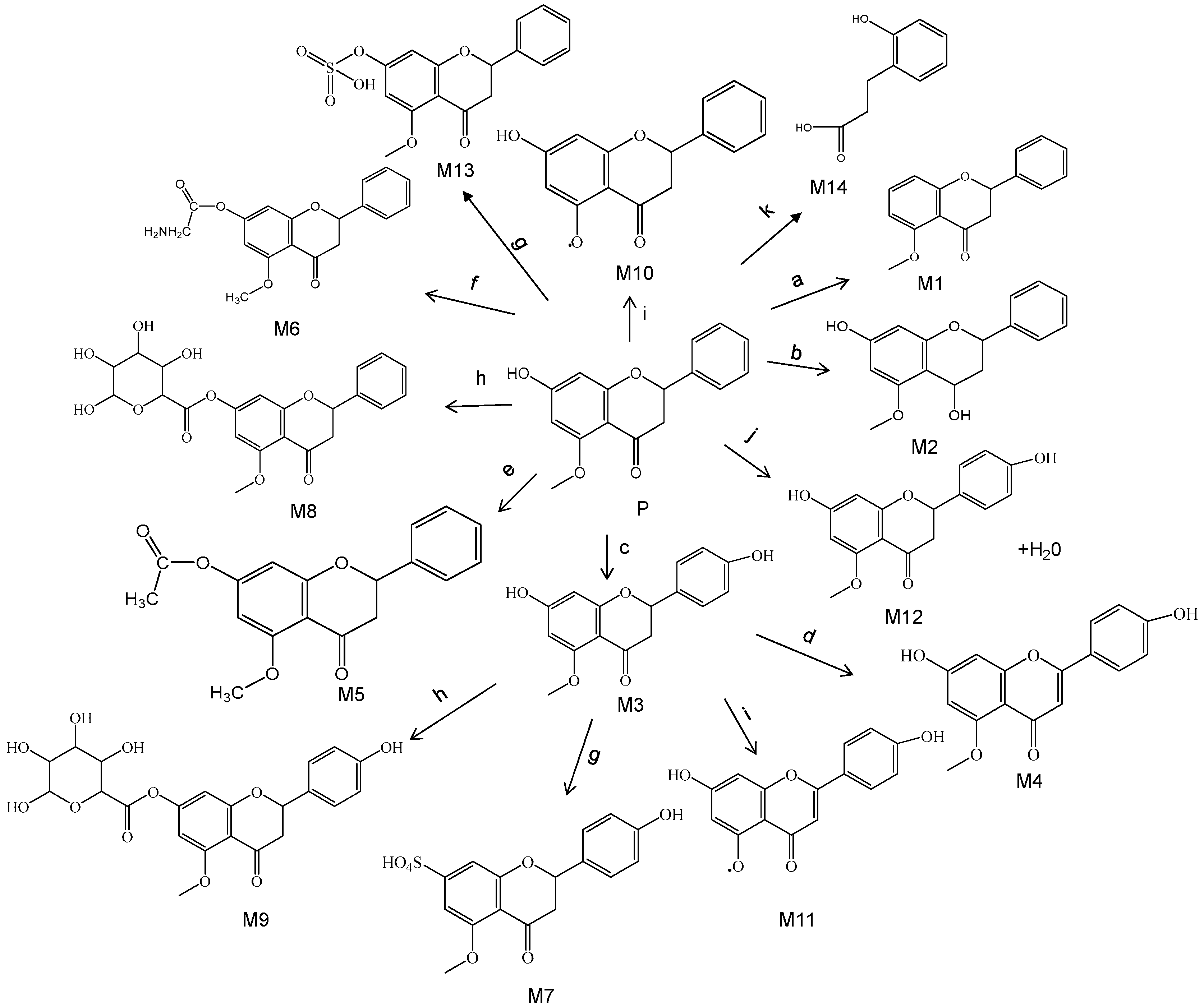 Characteristics and Source Analysis of PM1 in a Typical