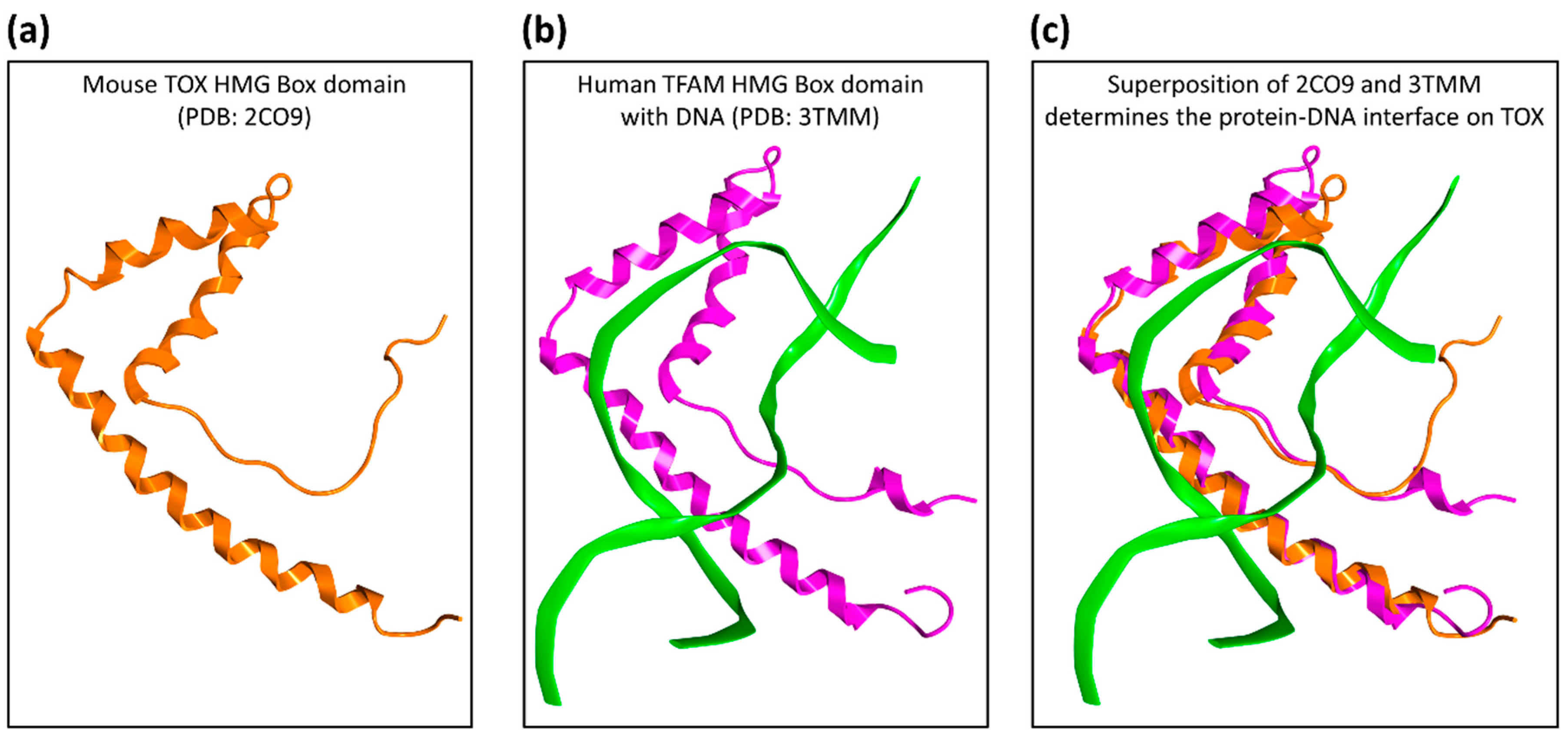 Molecules 24 03459 g001