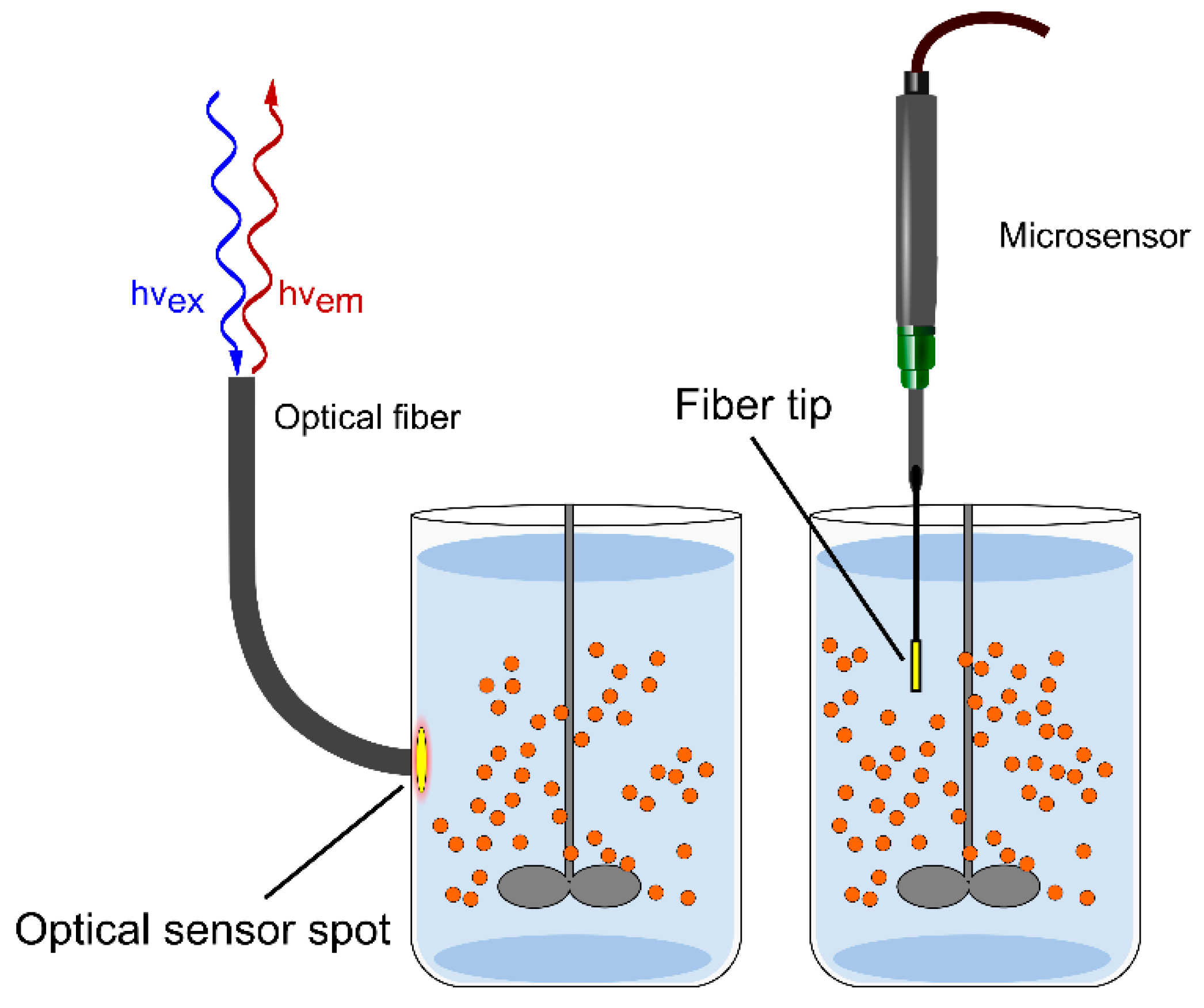 Molecules 24 03460 g002 Molecules 24 03460 g002