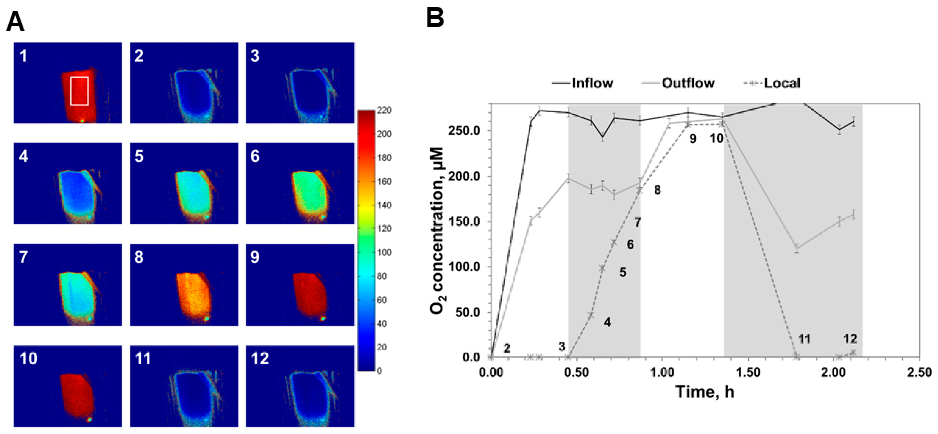Molecules 24 03460 g007 Molecules 24 03460 g007