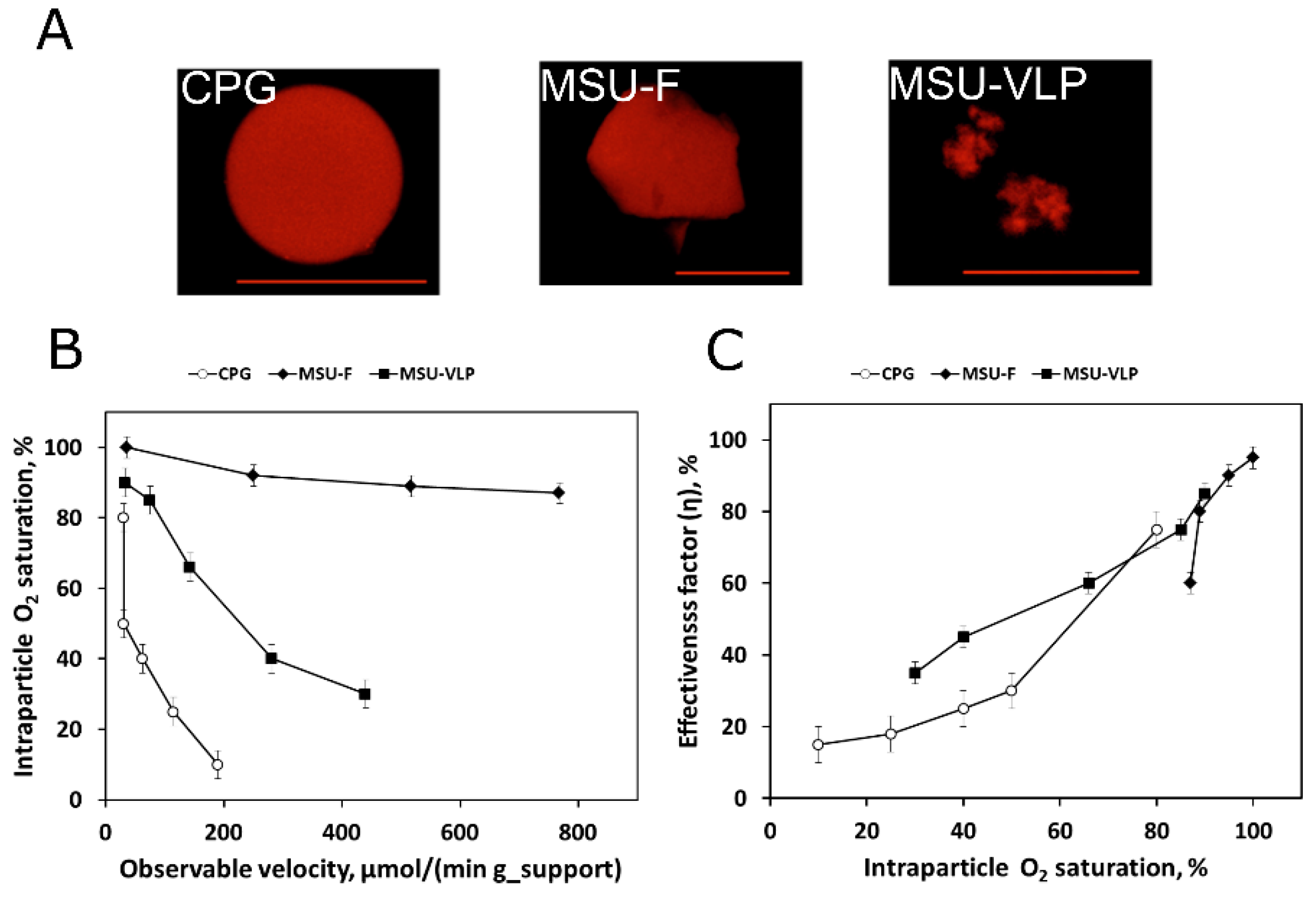 Molecules 24 03460 g008 Molecules 24 03460 g008