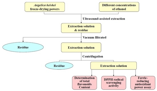 angelica mill tartary buckwheat