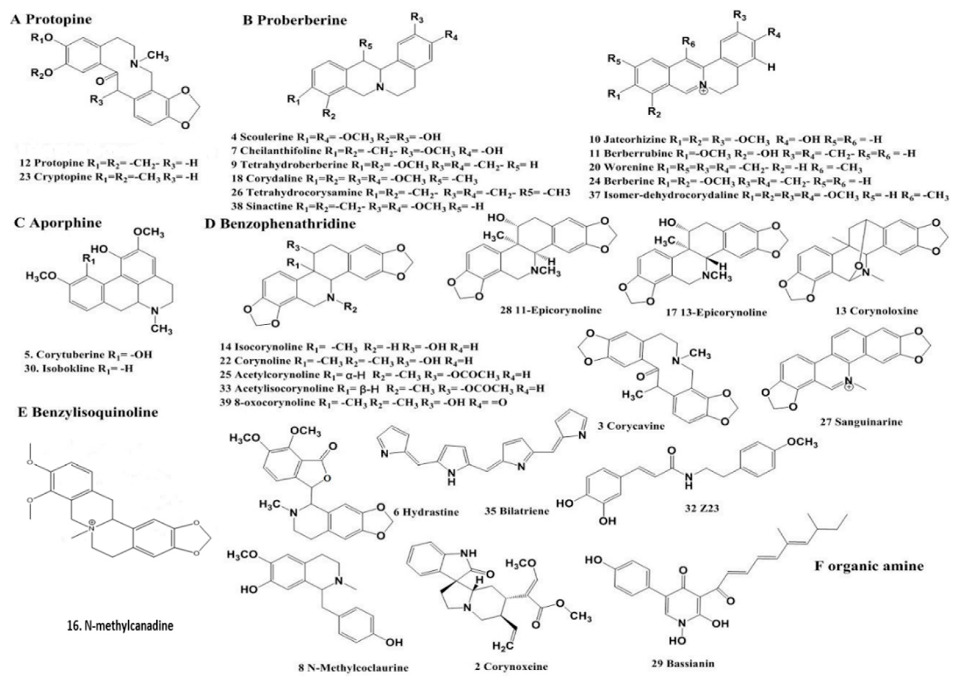 Molecules 24 03463 g002 550