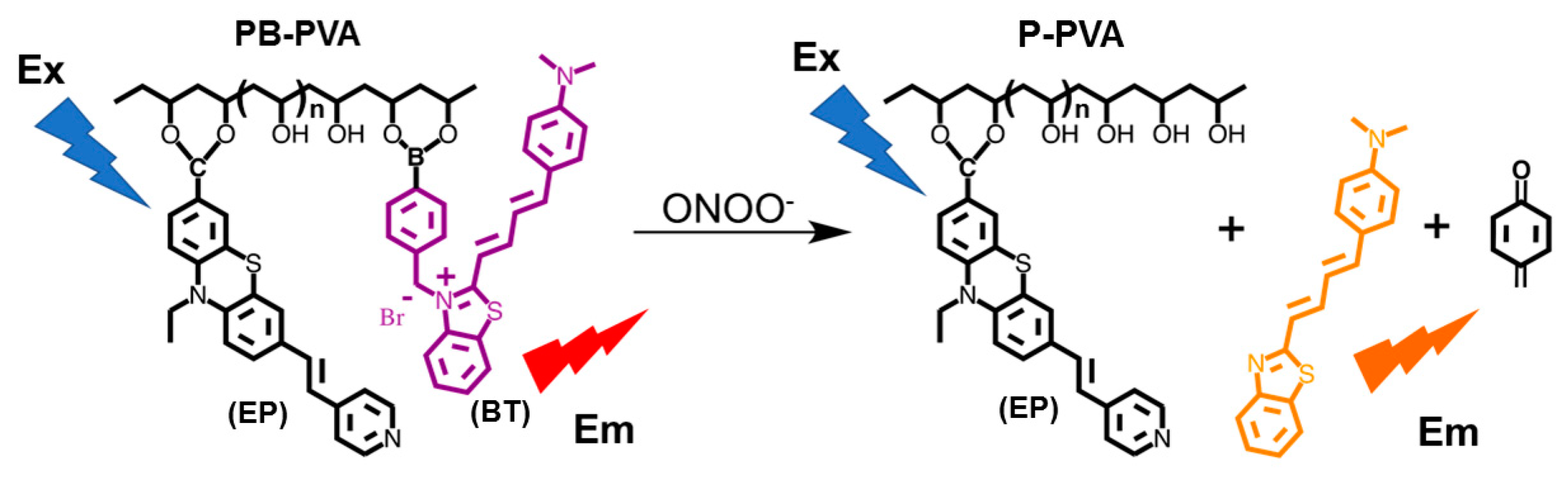 Molecules 24 03465 sch001