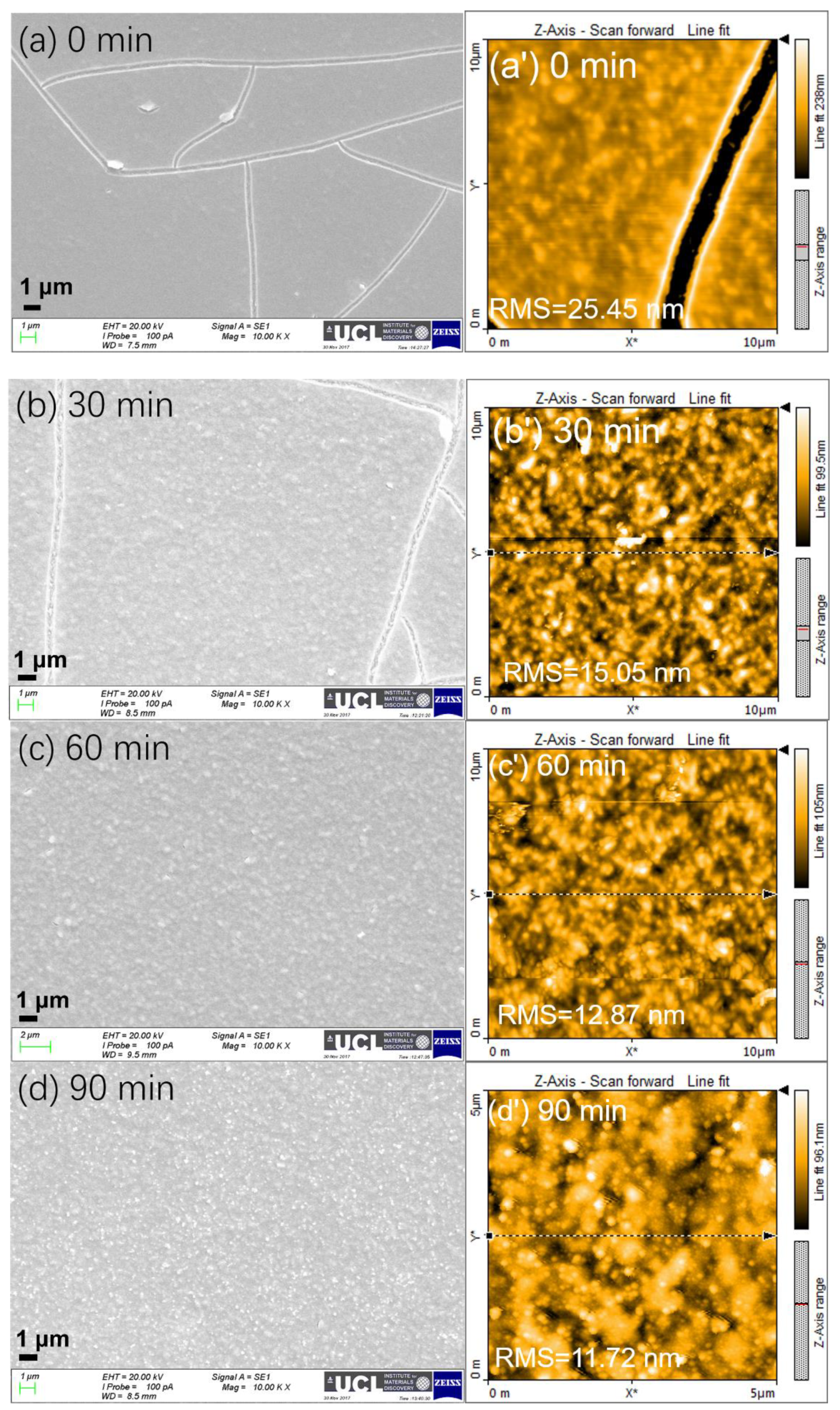 Molecules 24 03466 g004