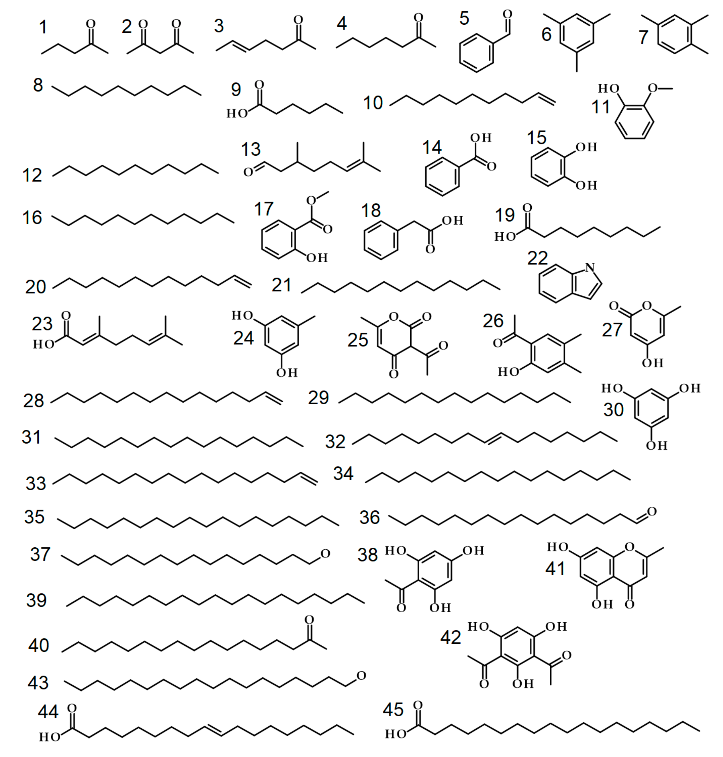 Molecules 24 03468 g001