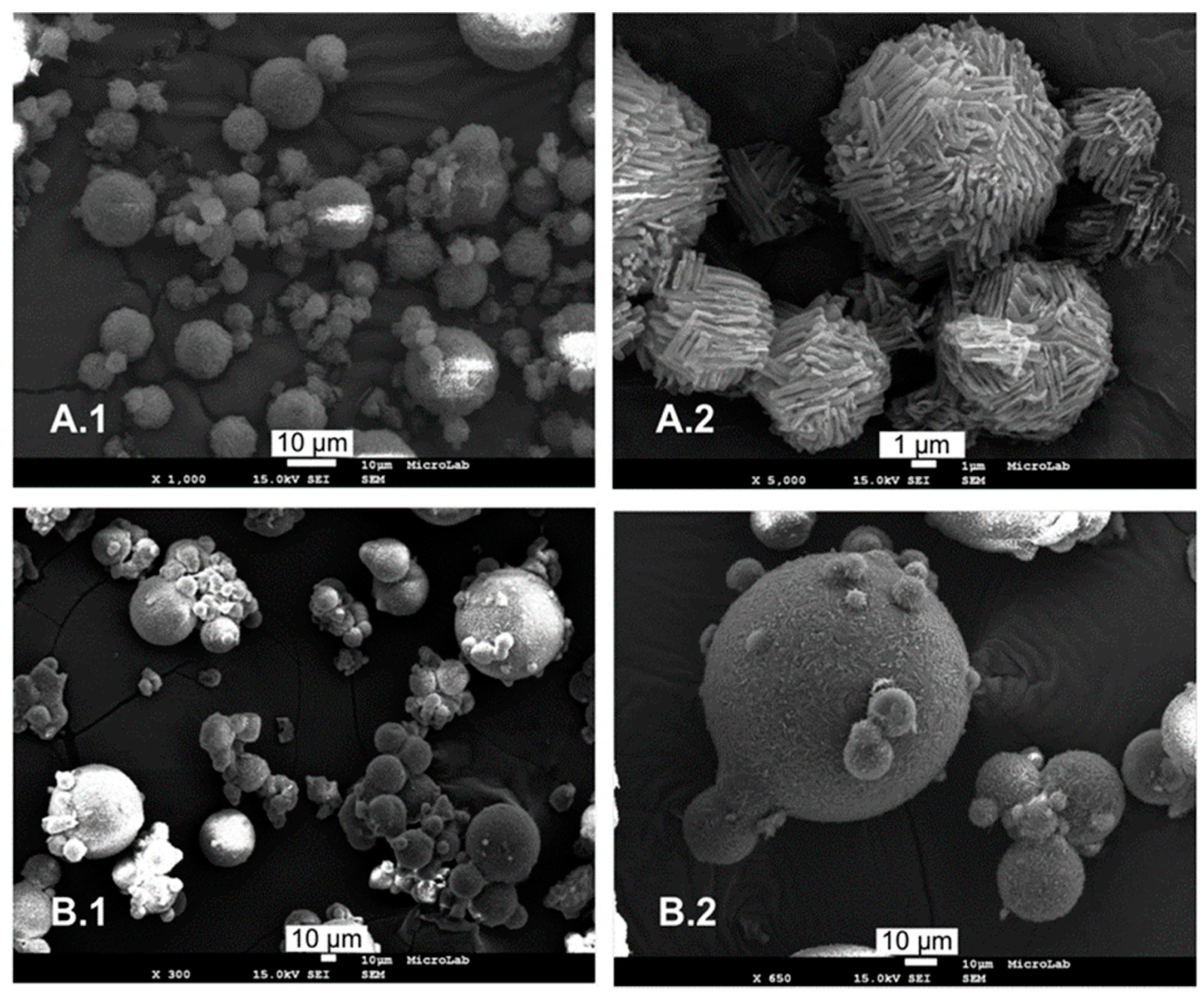 Molecules 24 03471 g008 Molecules 24 03471 g008