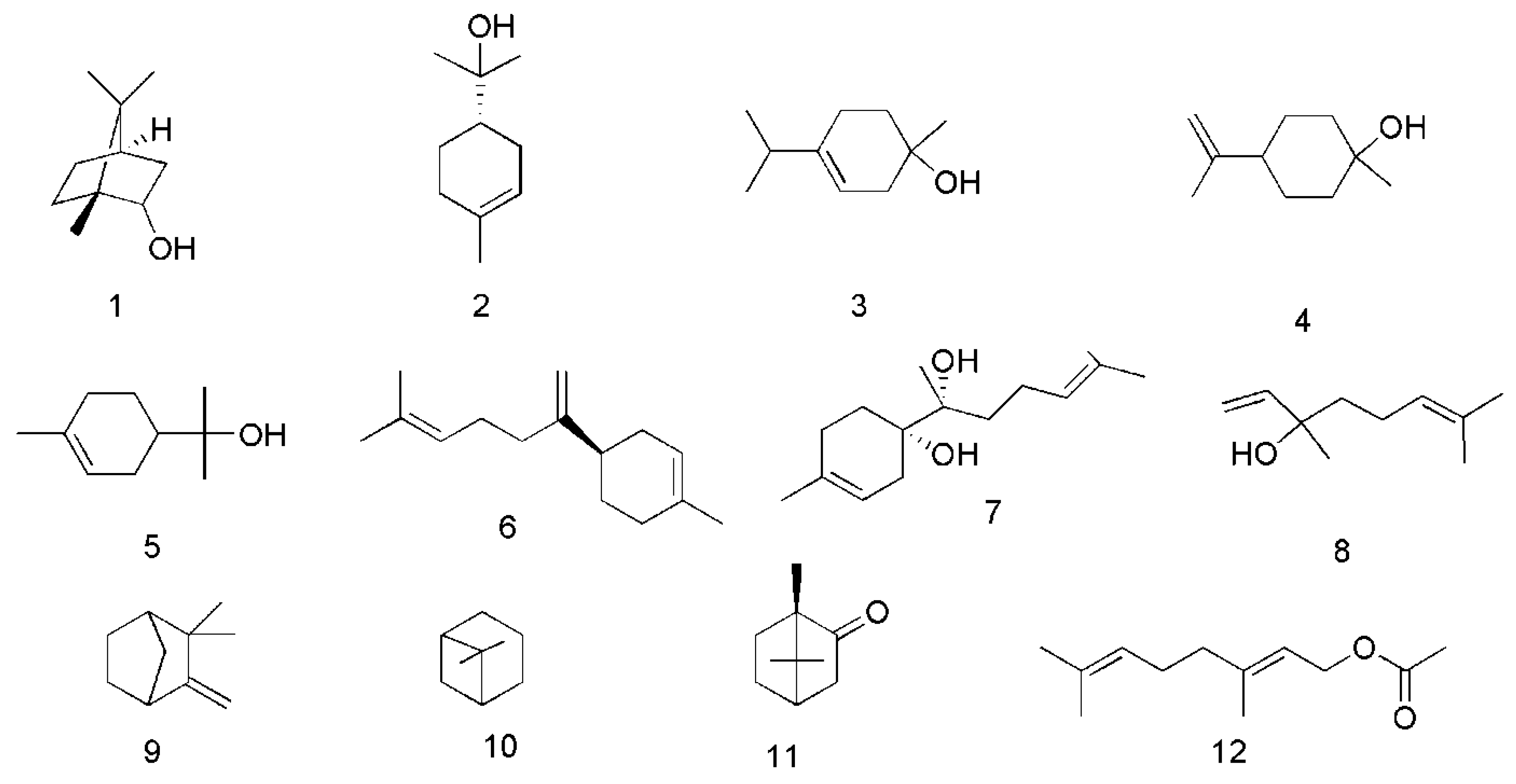 Molecules 24 03473 g002