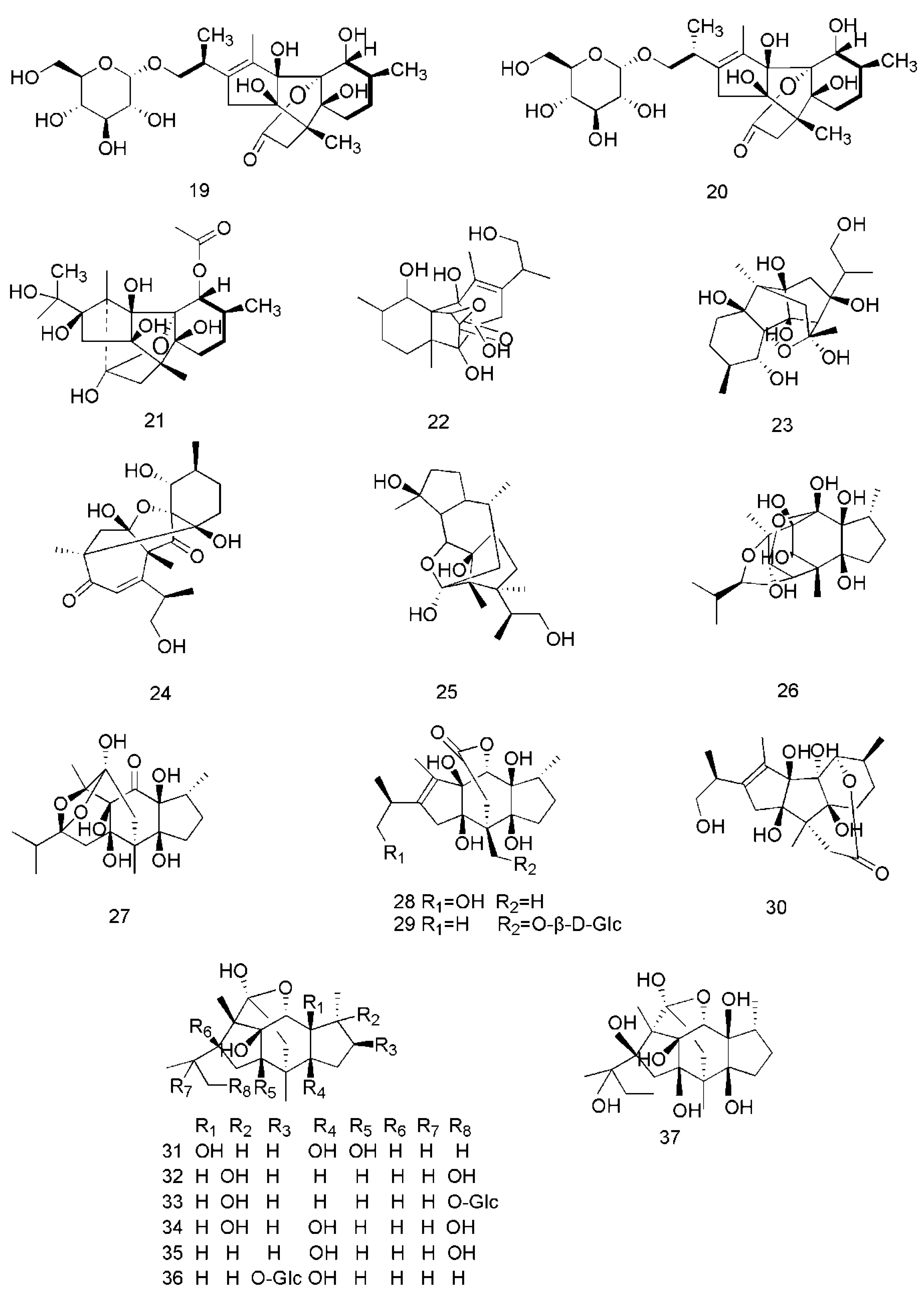 Molecules 24 03473 g003b