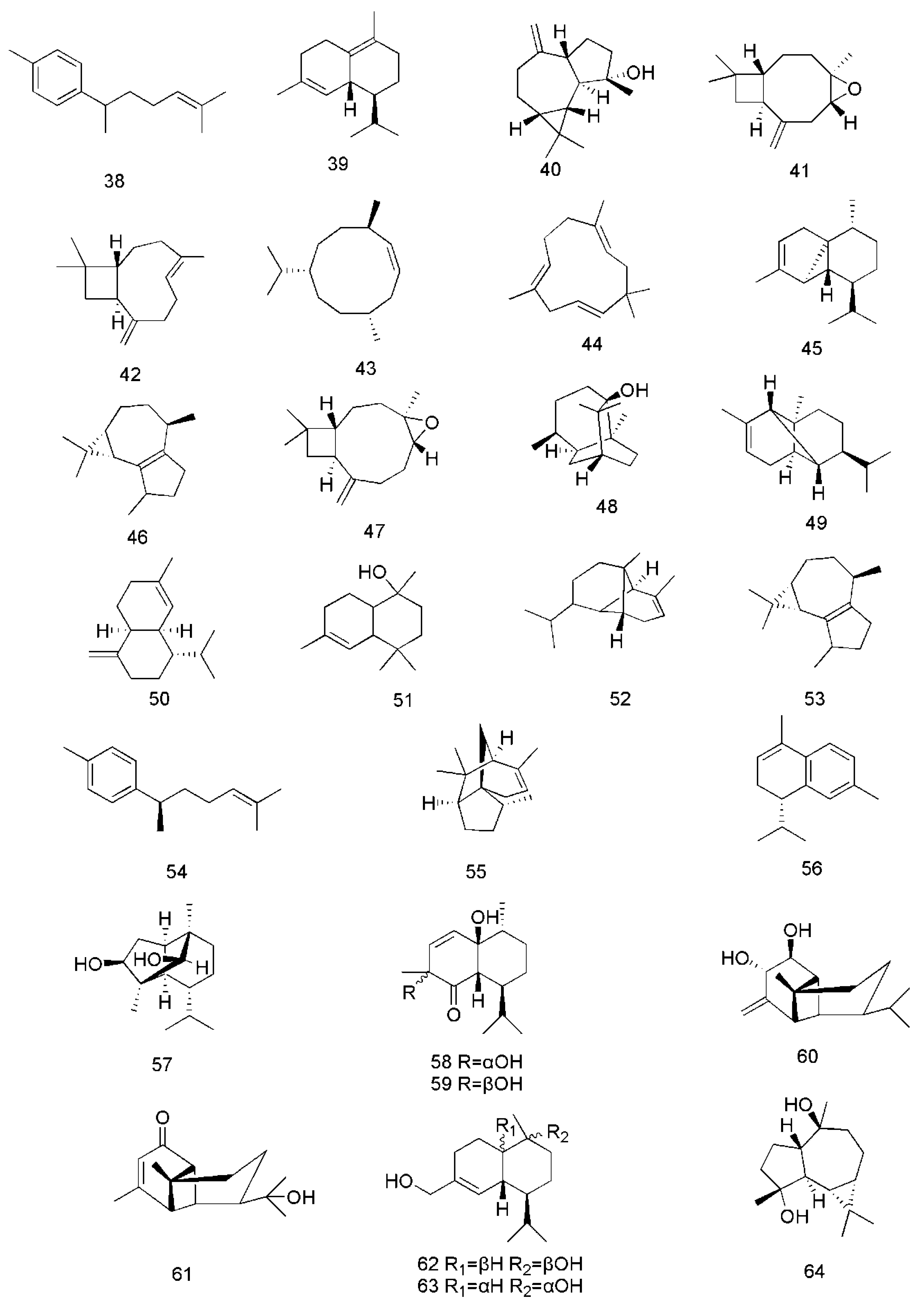 Molecules 24 03473 g004