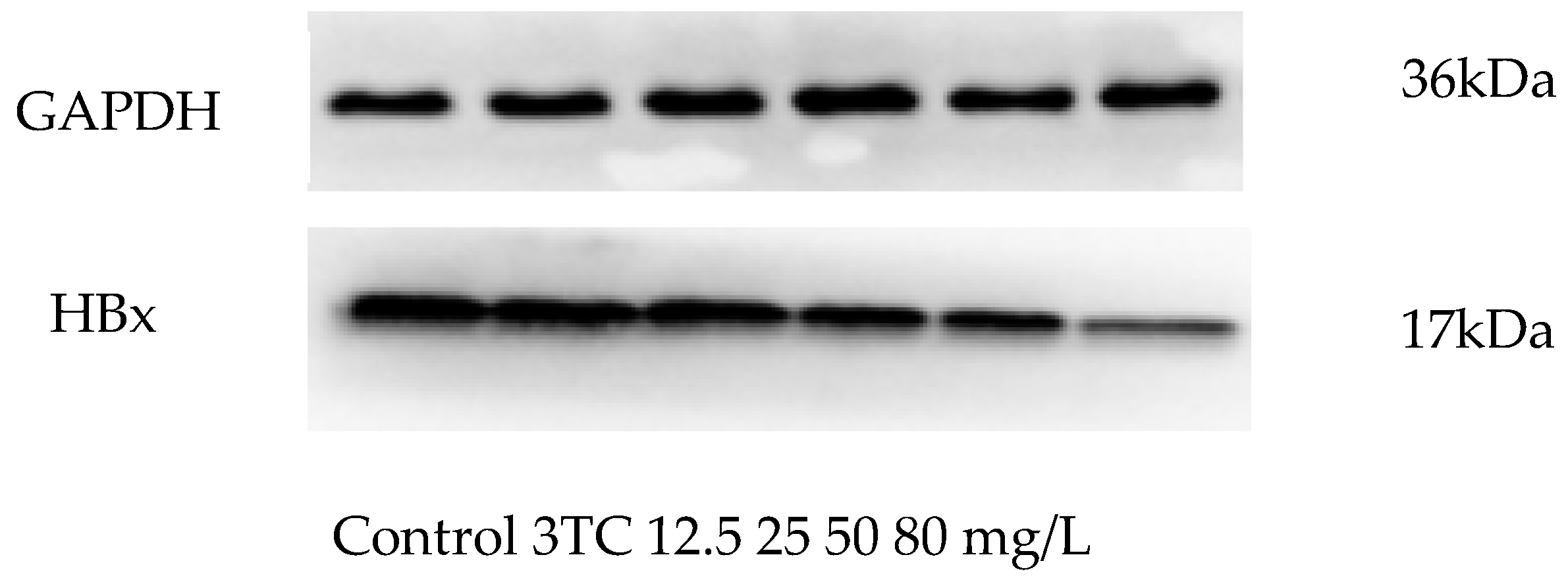 Molecules 24 03475 g006 550