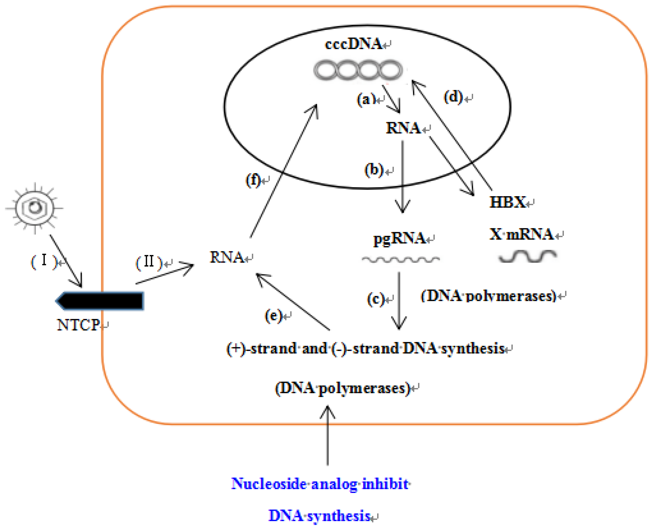 Molecules 24 03475 g010 550
