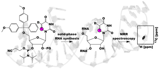 Solid-Phase Chemical Synthesis of Stable Isotope-Labeled RNA