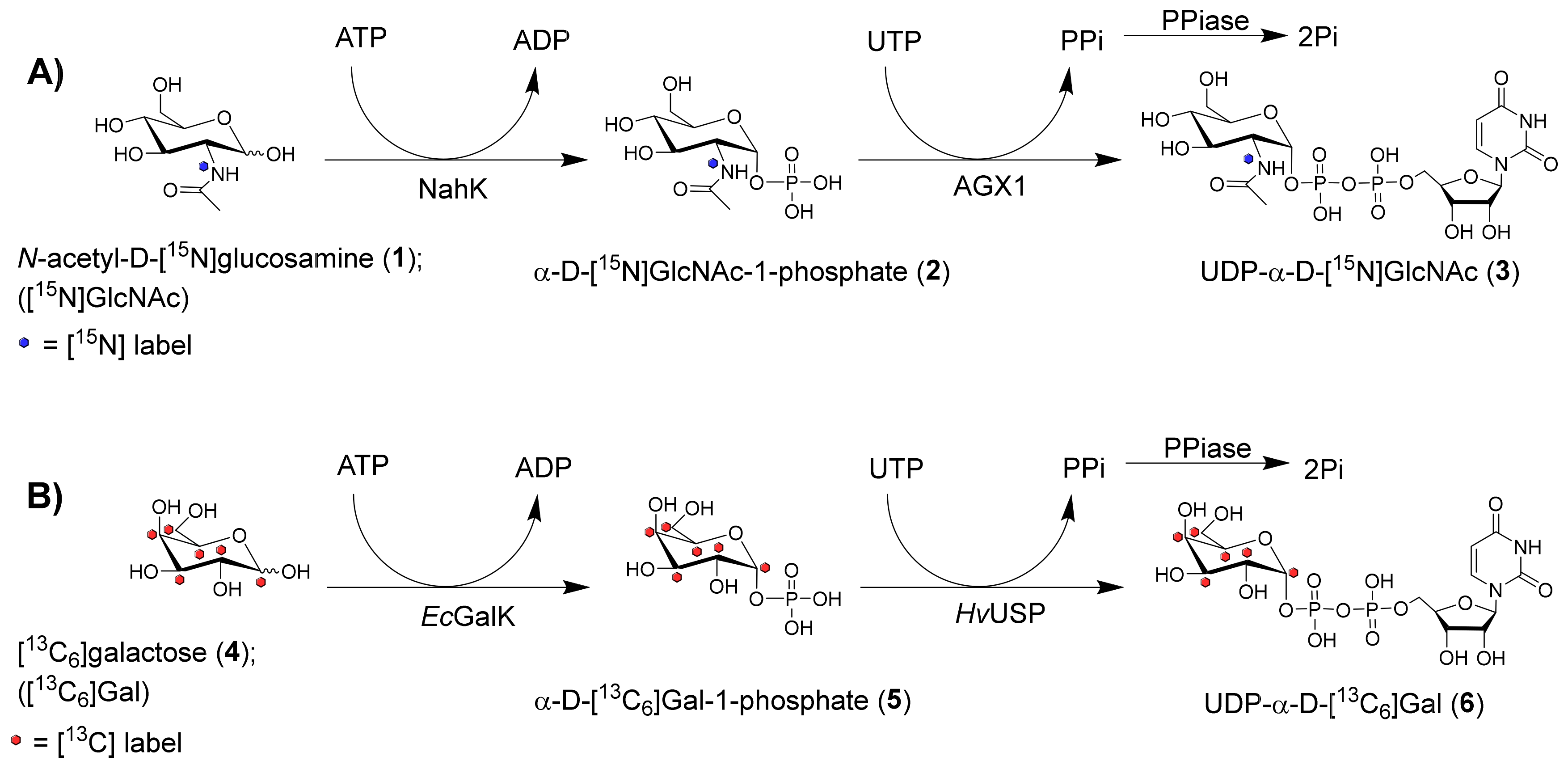 Molecules 24 03482 sch001 Molecules 24 03482 sch001