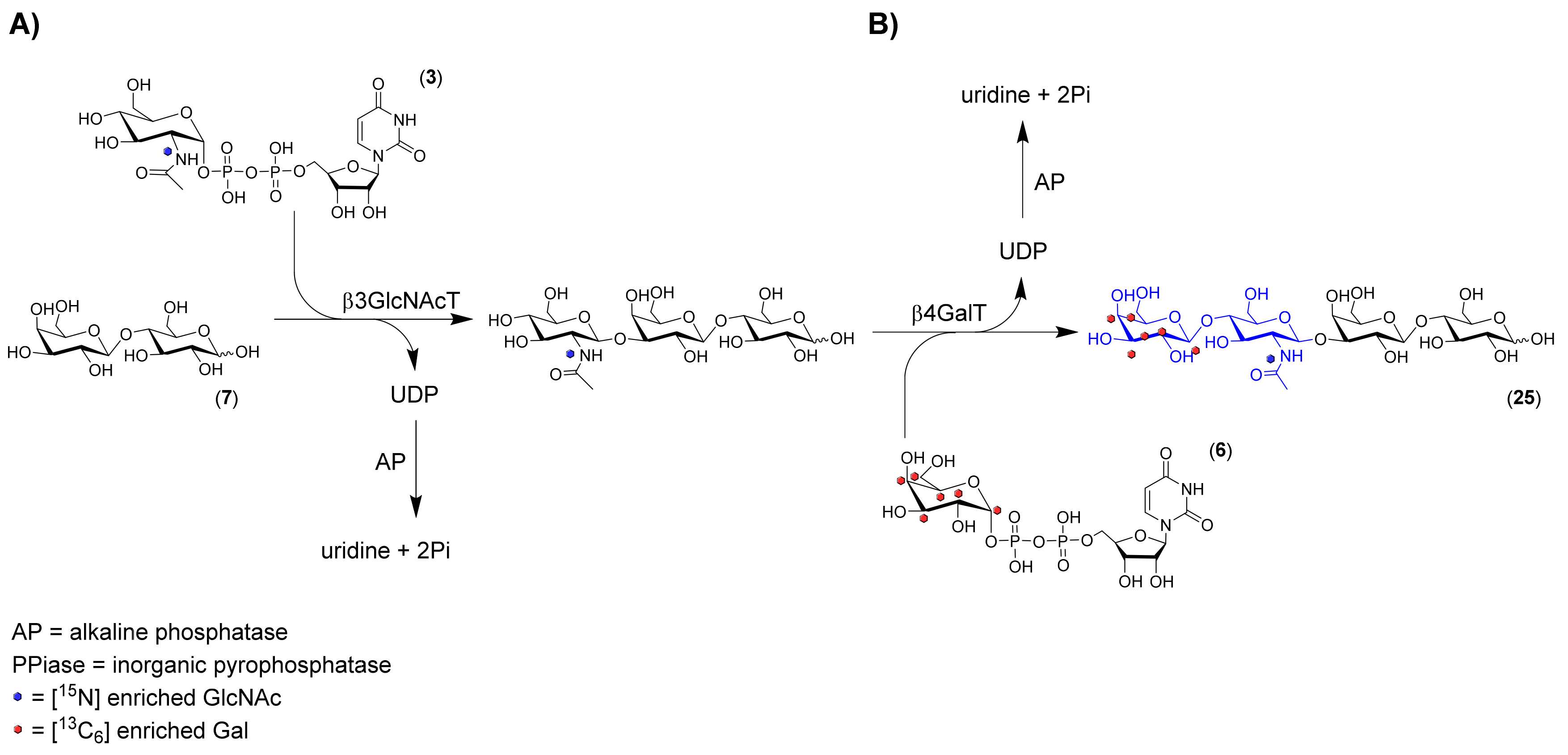 Molecules 24 03482 sch003 Molecules 24 03482 sch003