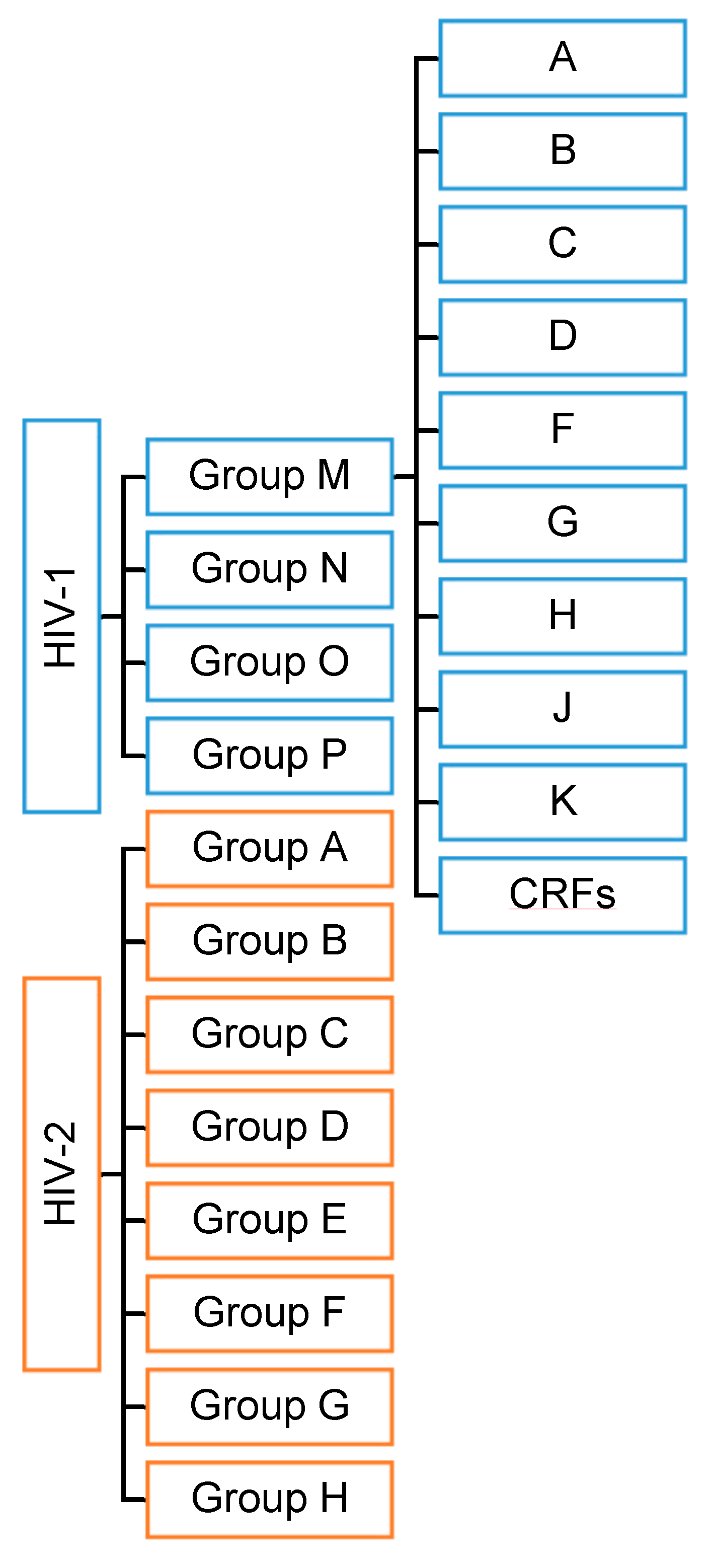 Molecules 24 03486 g001
