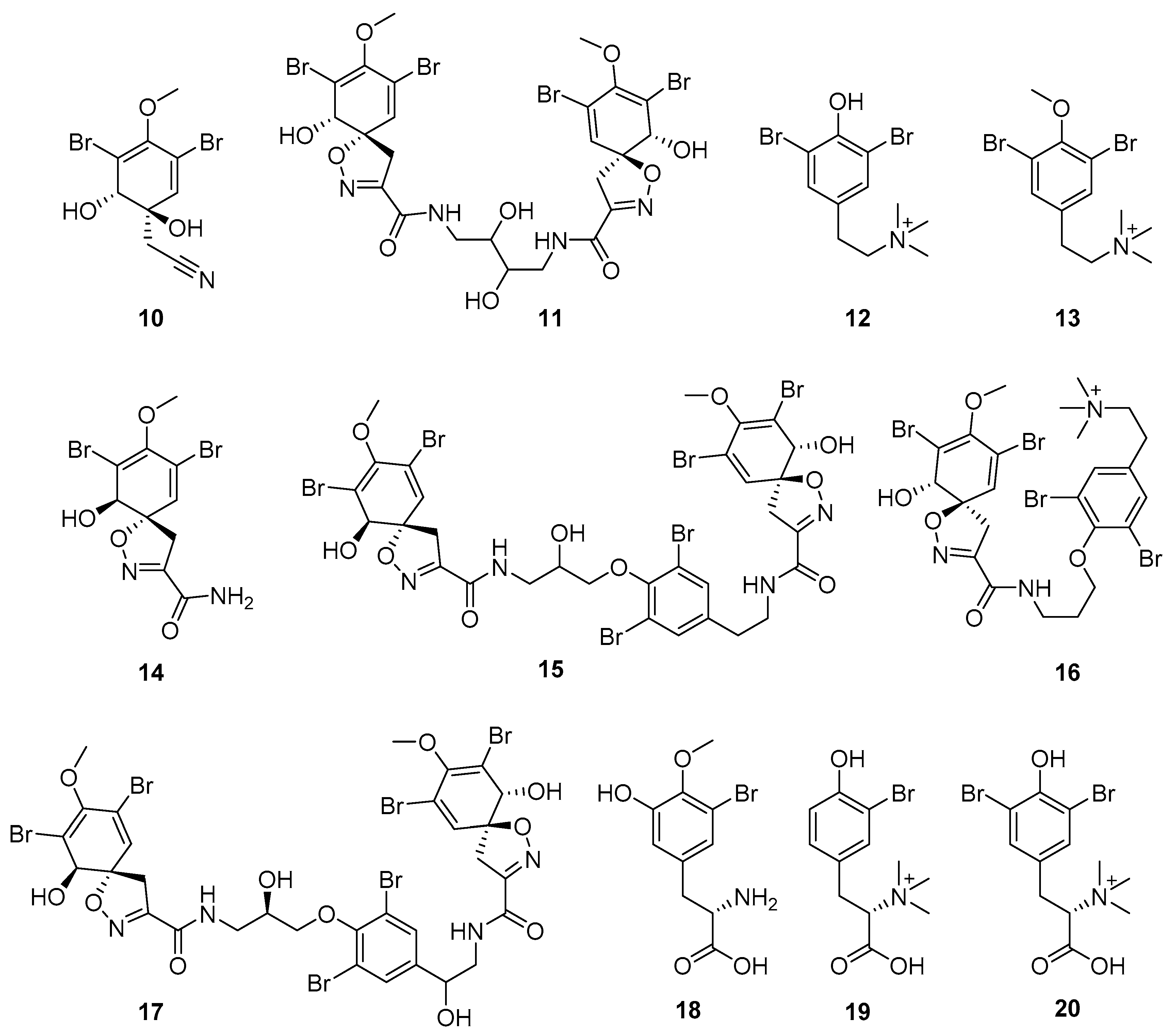 Molecules 24 03486 g007
