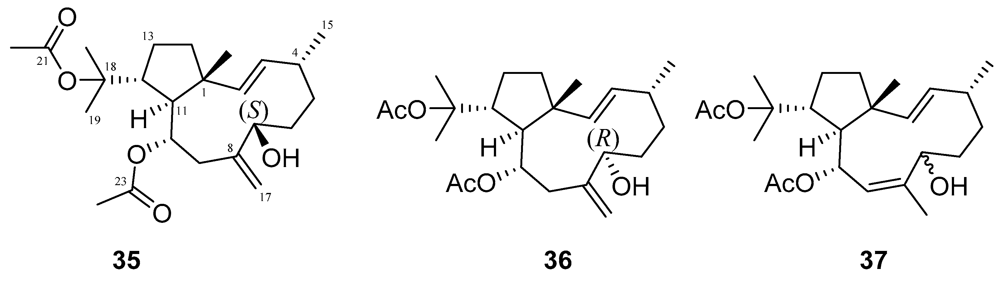 Molecules 24 03486 g015