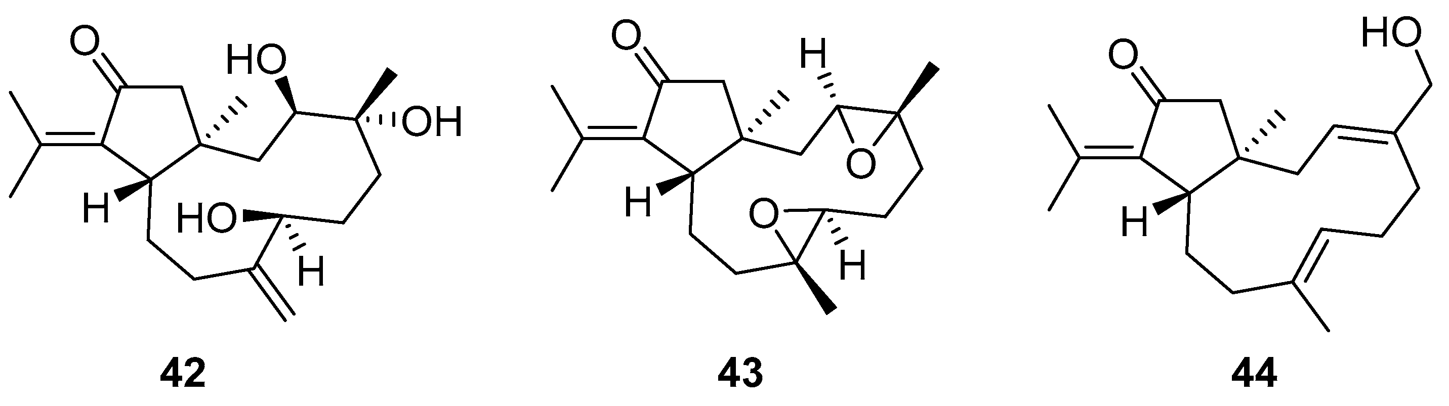 Molecules 24 03486 g018