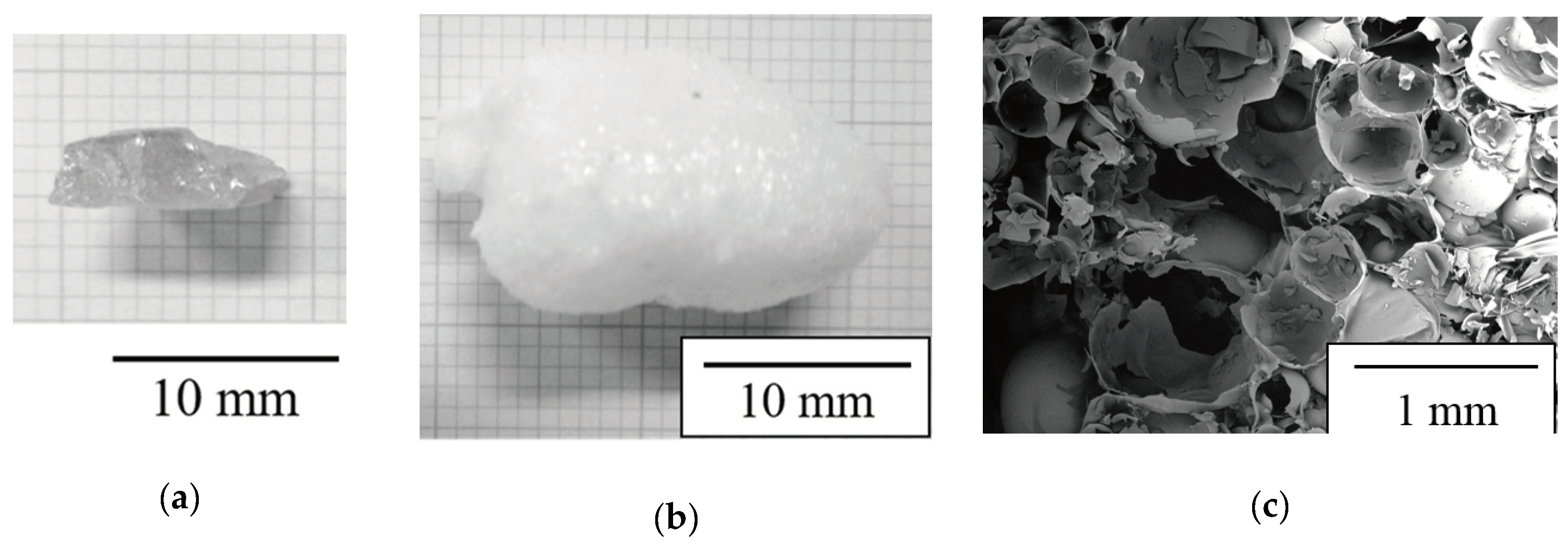 Molecules 24 03488 g001 Molecules 24 03488 g001