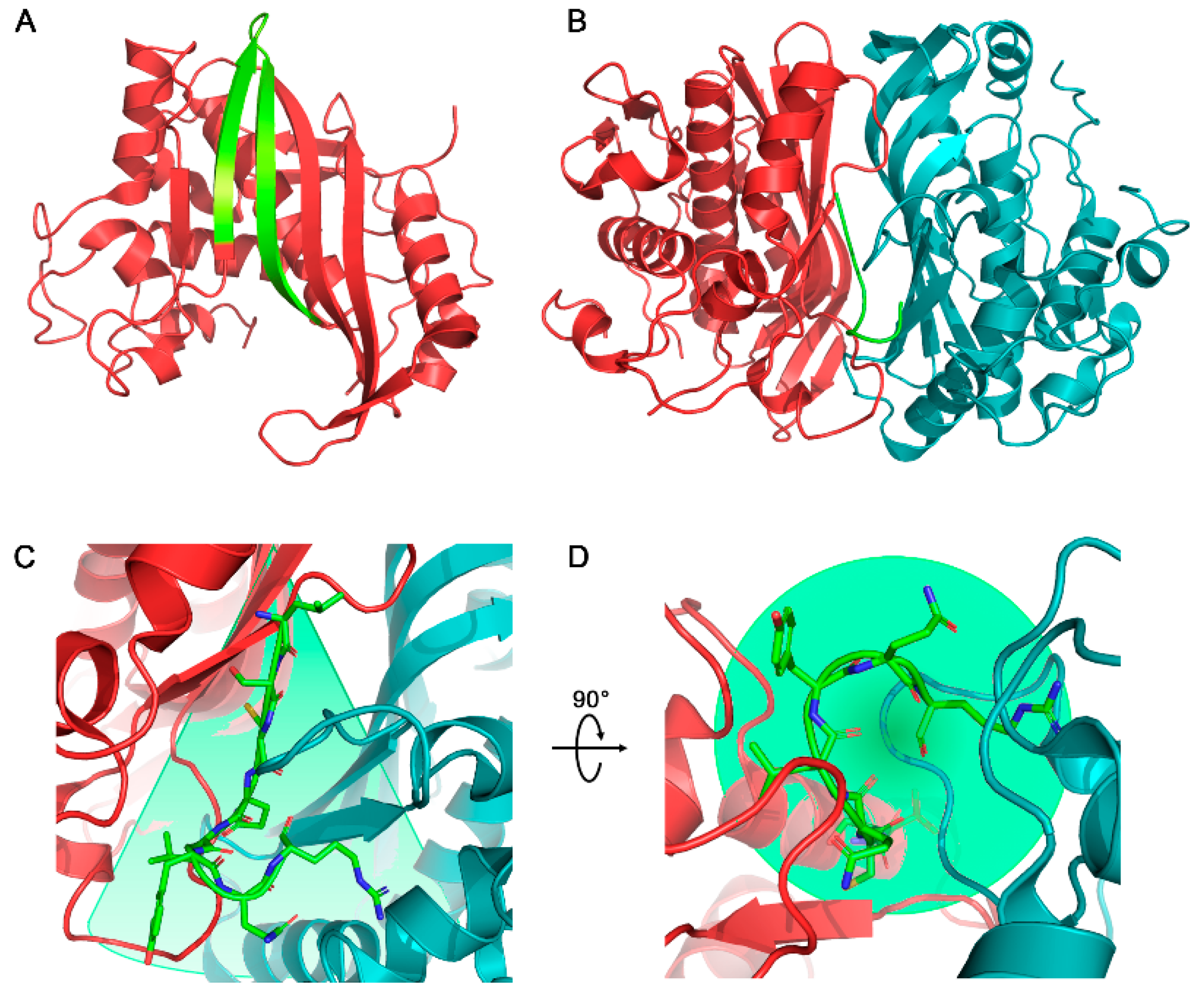 Molecules 24 03493 g001