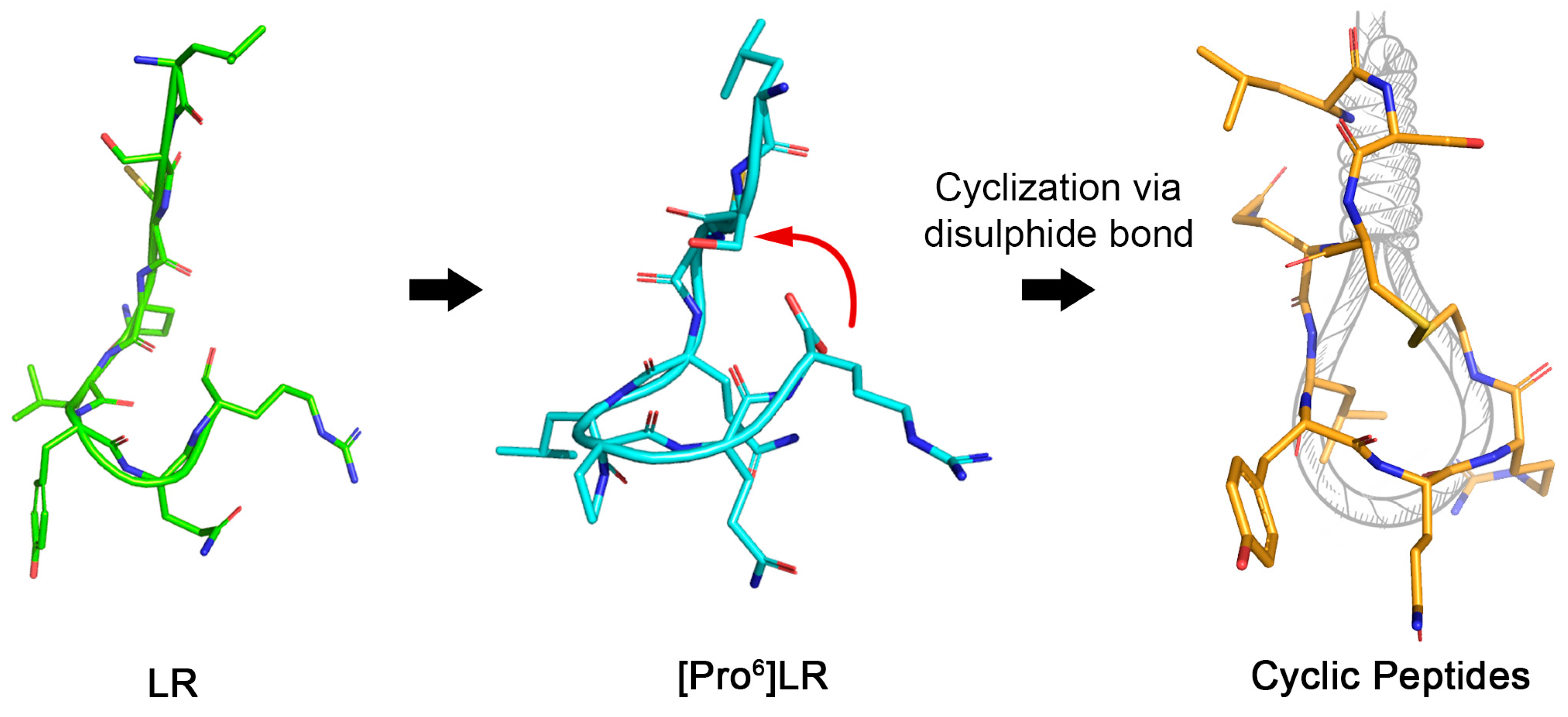 Molecules 24 03493 g002
