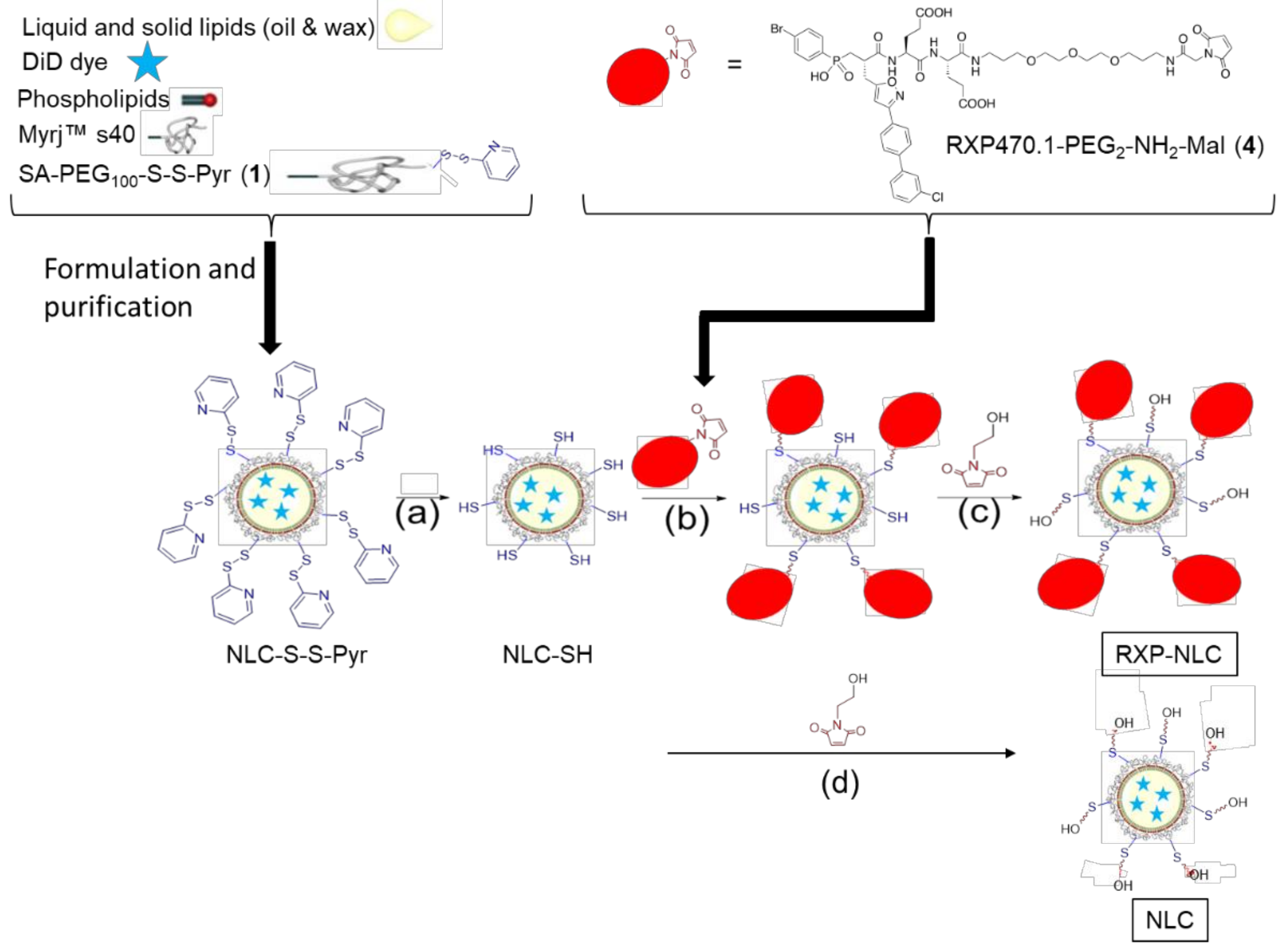 Molecules Free Full Text Biodistribution Of