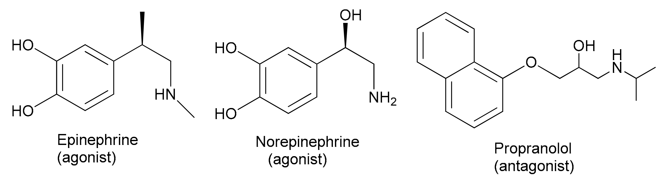 Molecules 24 03501 g001 Molecules 24 03501 g001