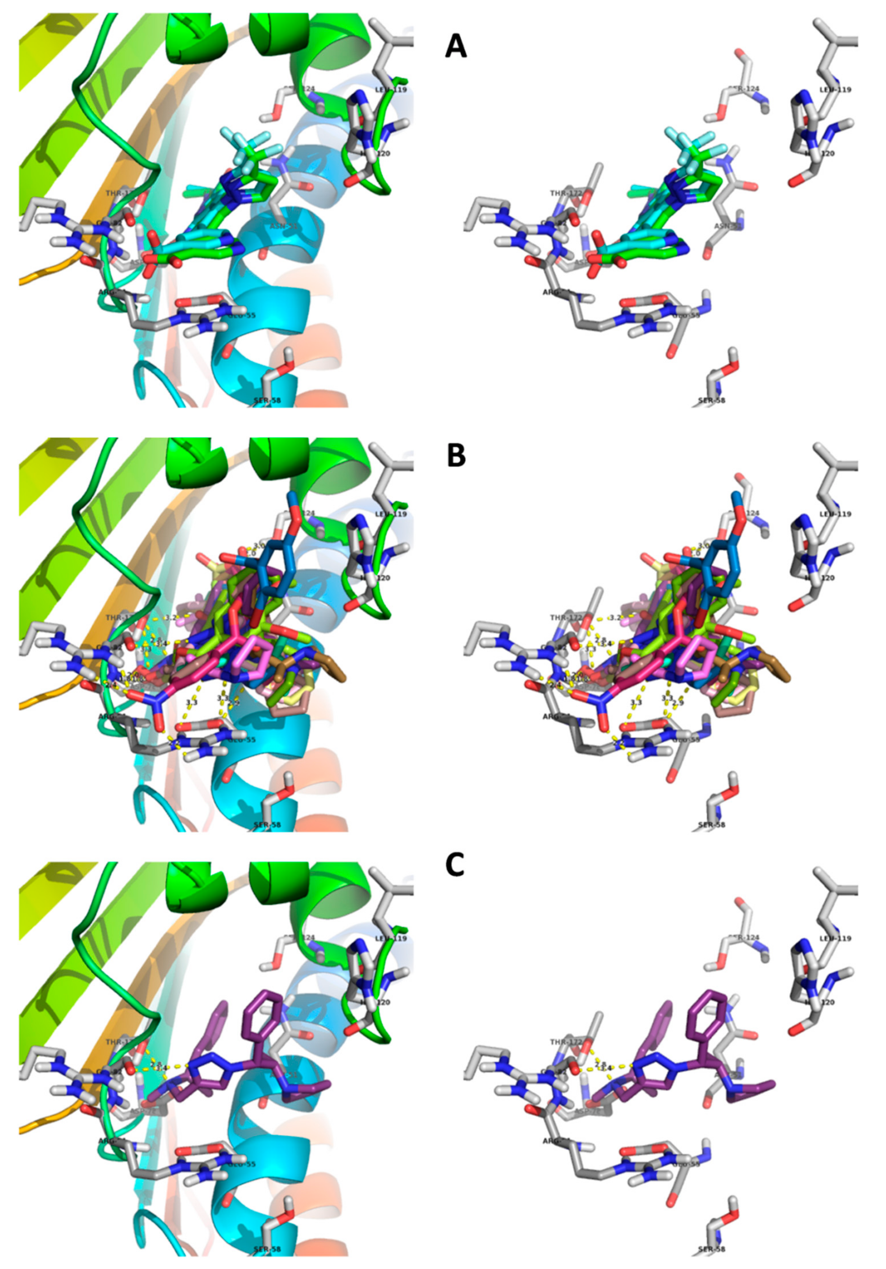 Molecules 24 03501 g004 Molecules 24 03501 g004