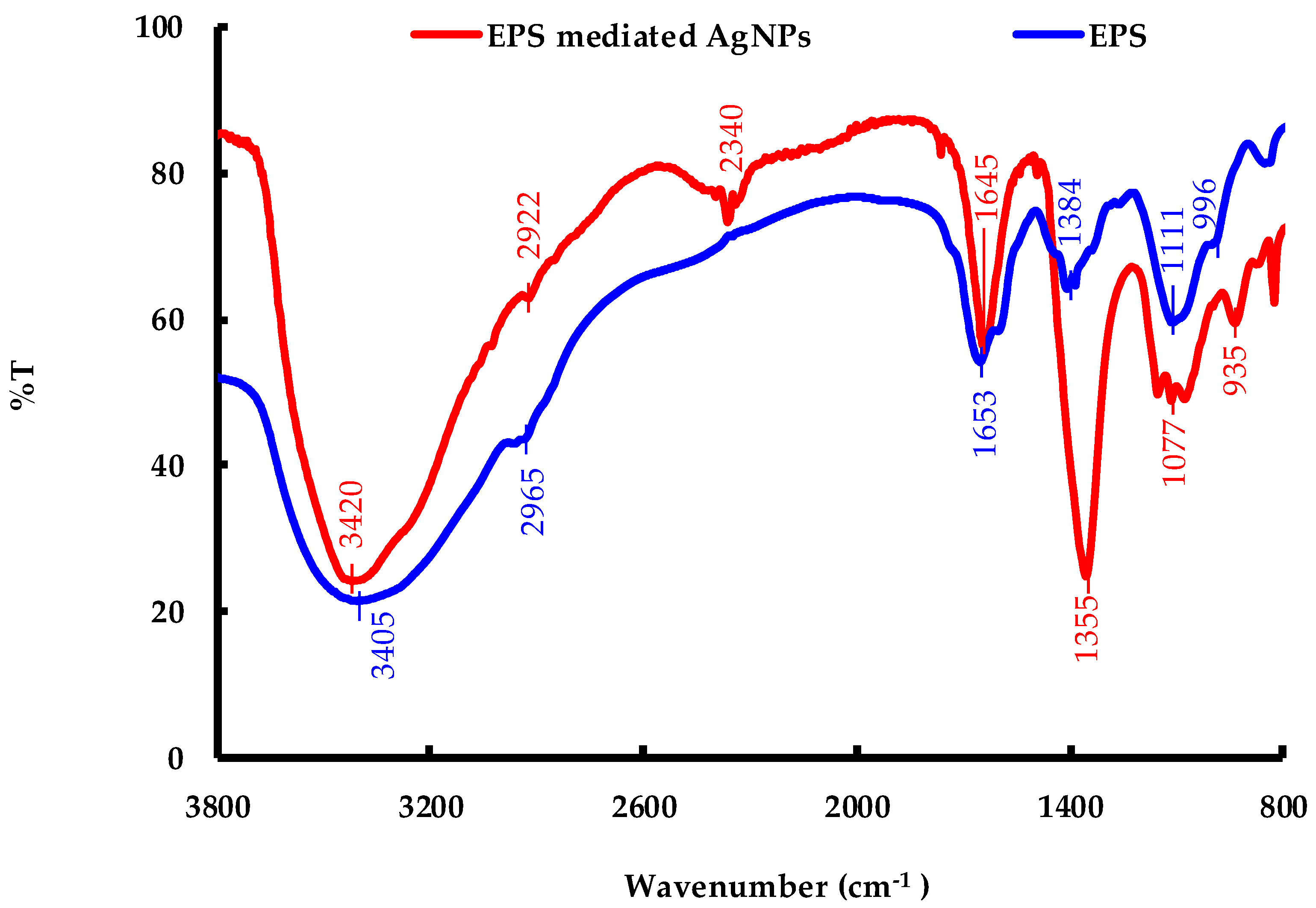 Molecules 24 03506 g011 Molecules 24 03506 g011