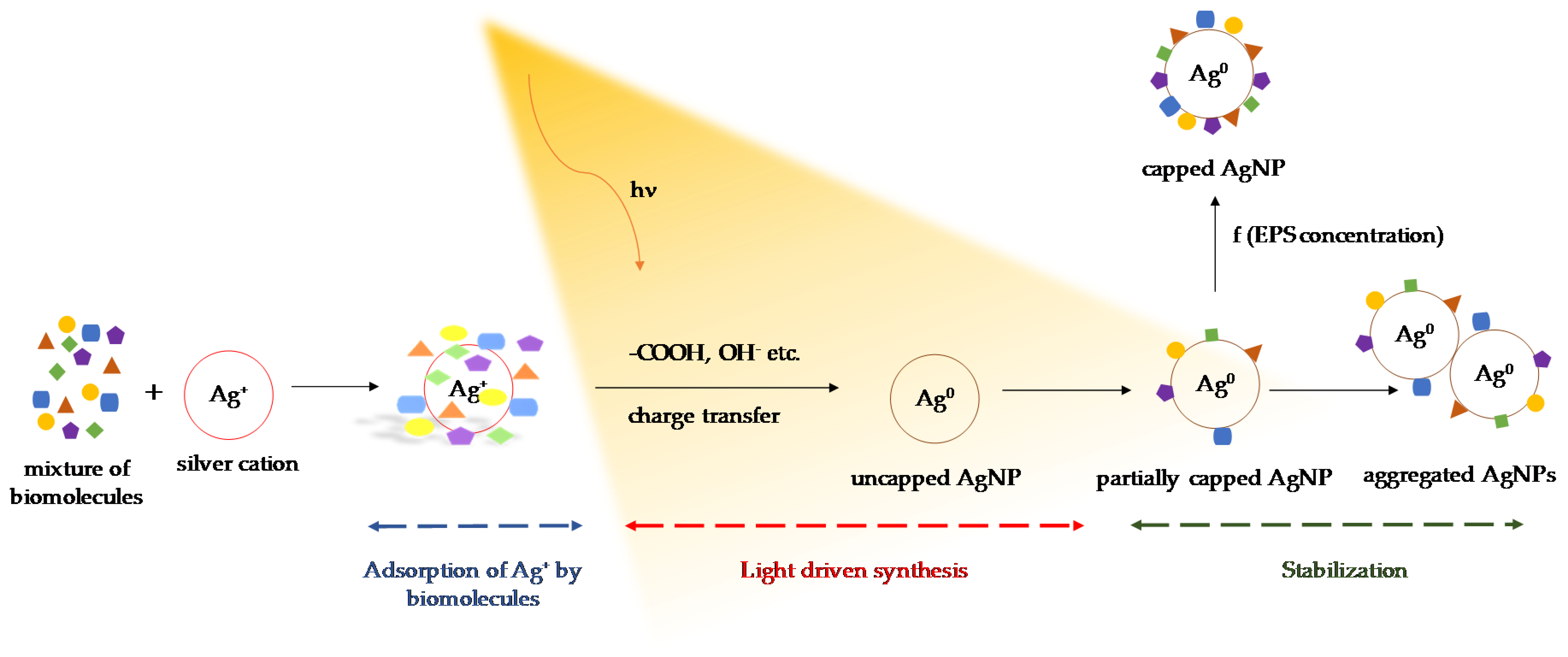 Molecules 24 03506 g012 Molecules 24 03506 g012