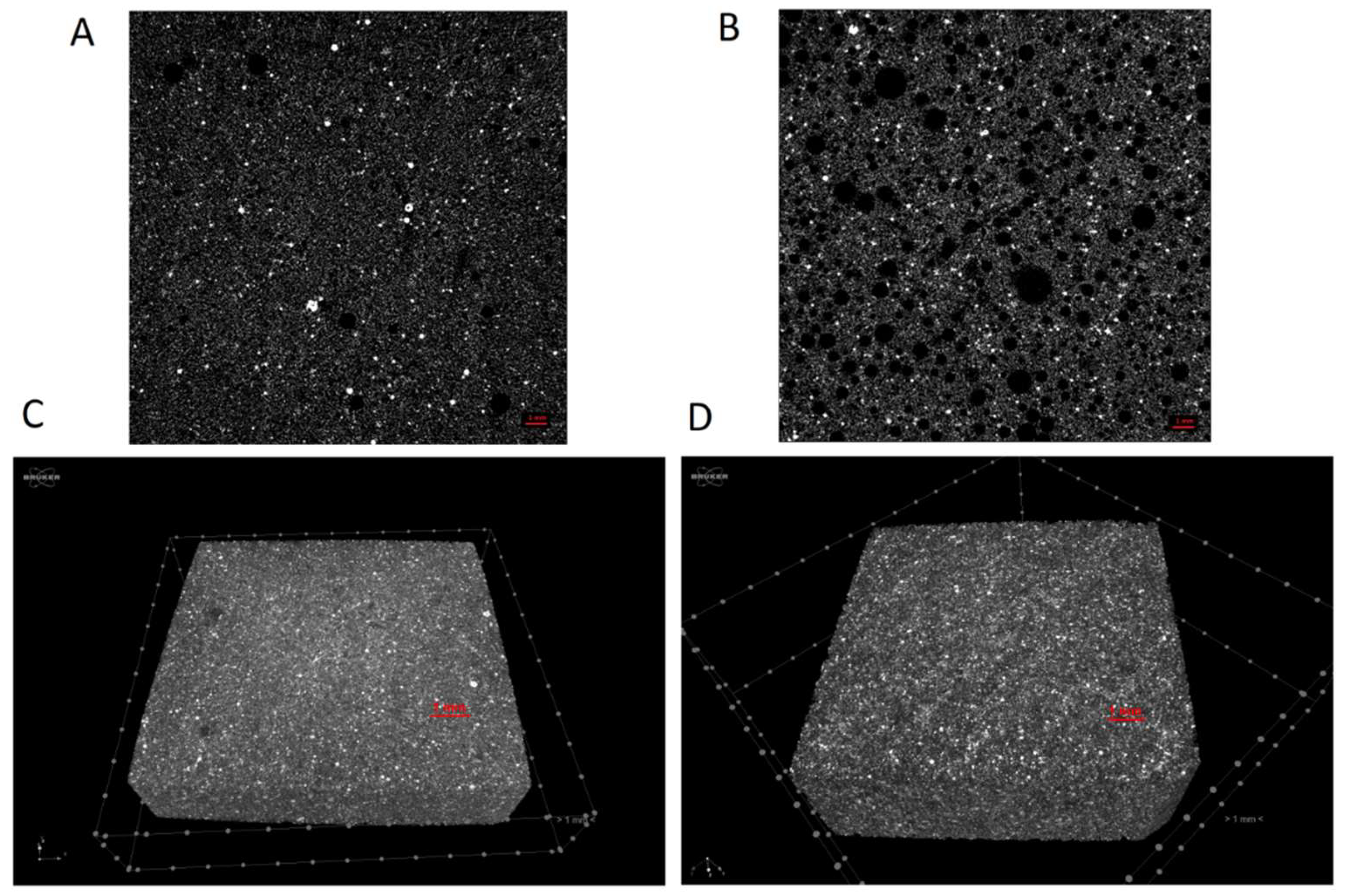 Molecules 24 03510 g005 Molecules 24 03510 g005