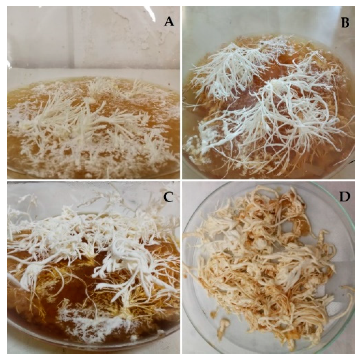 Molecules 24 03511 g001