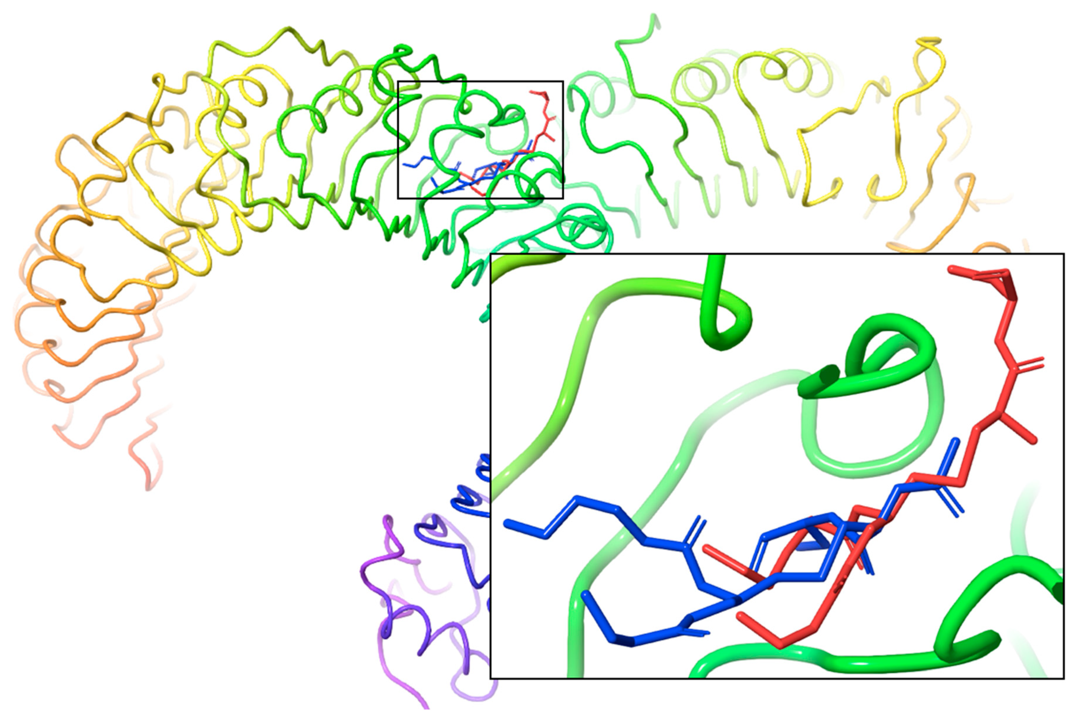 Molecules 24 03512 g003 Molecules 24 03512 g003