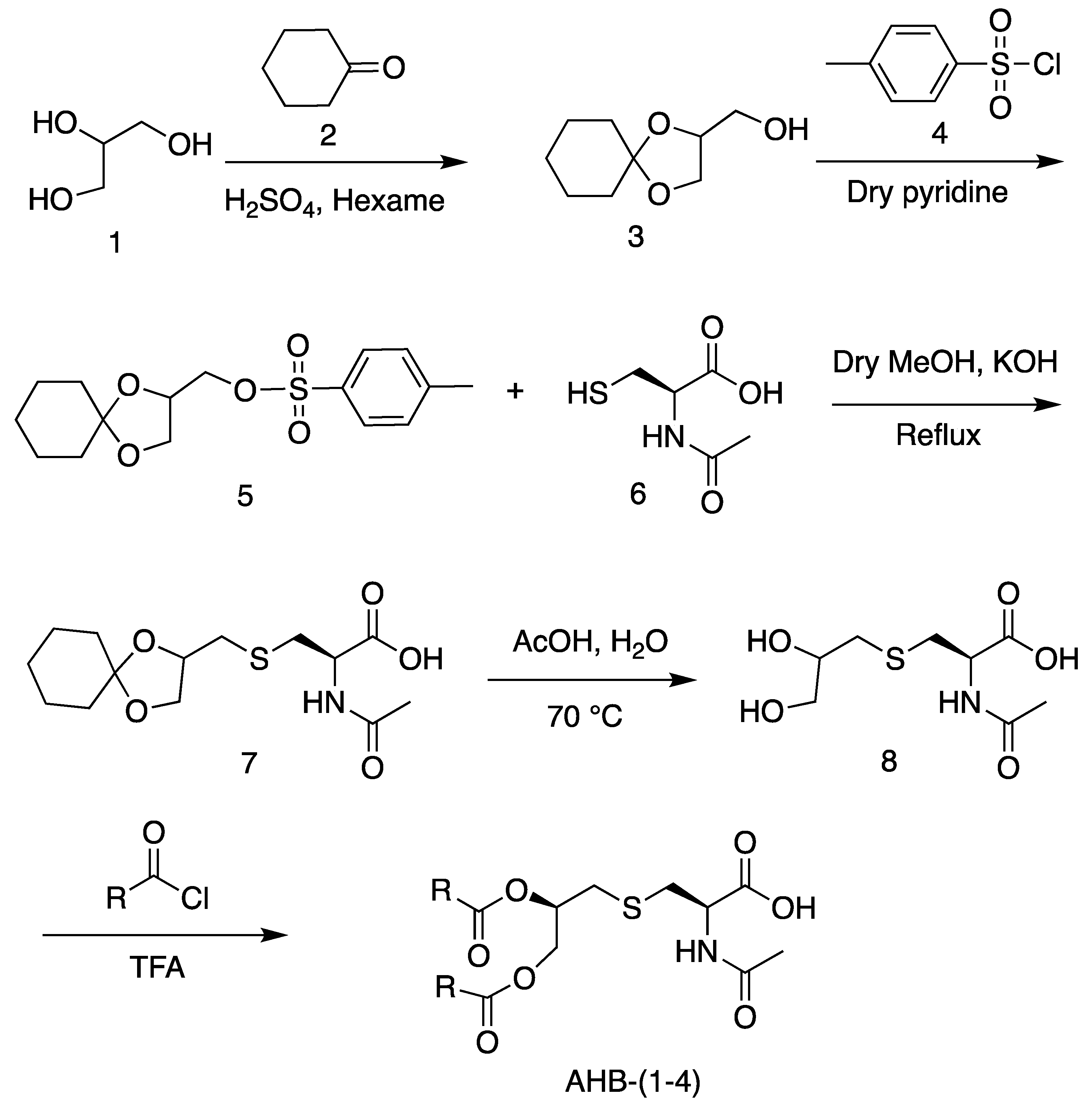 Molecules 24 03512 sch001 Molecules 24 03512 sch001