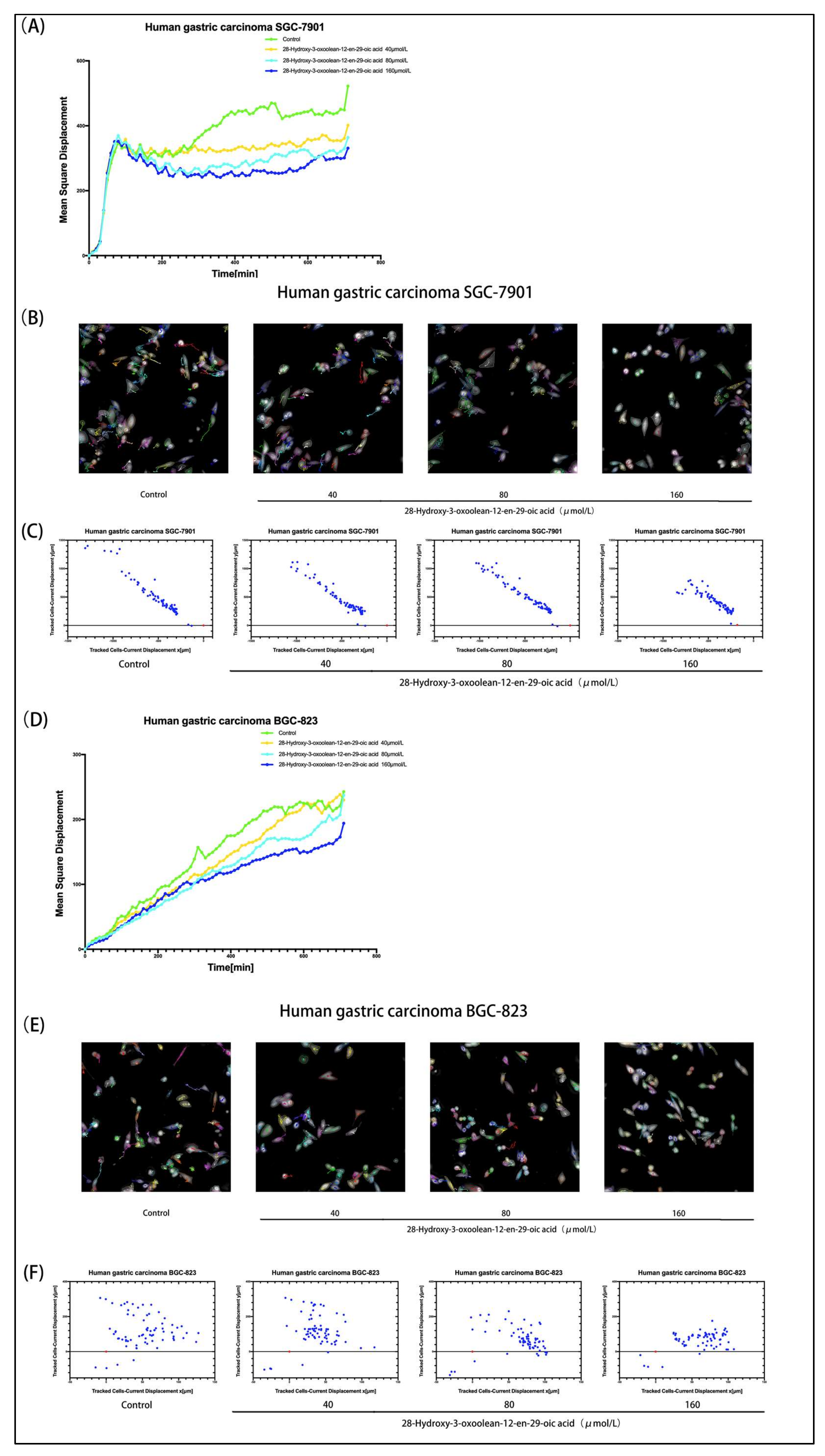 Molecules 24 03513 g004