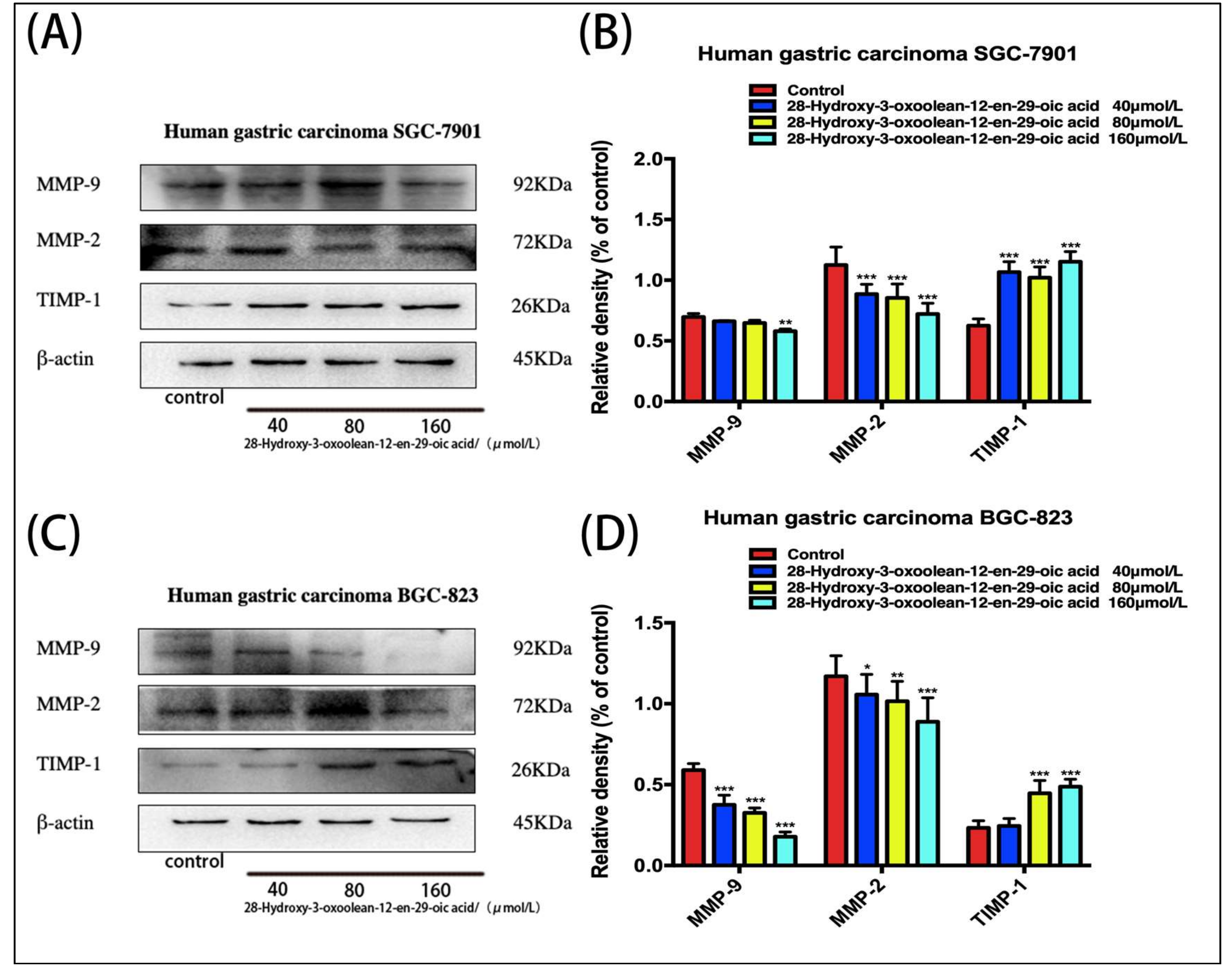 Molecules 24 03513 g005