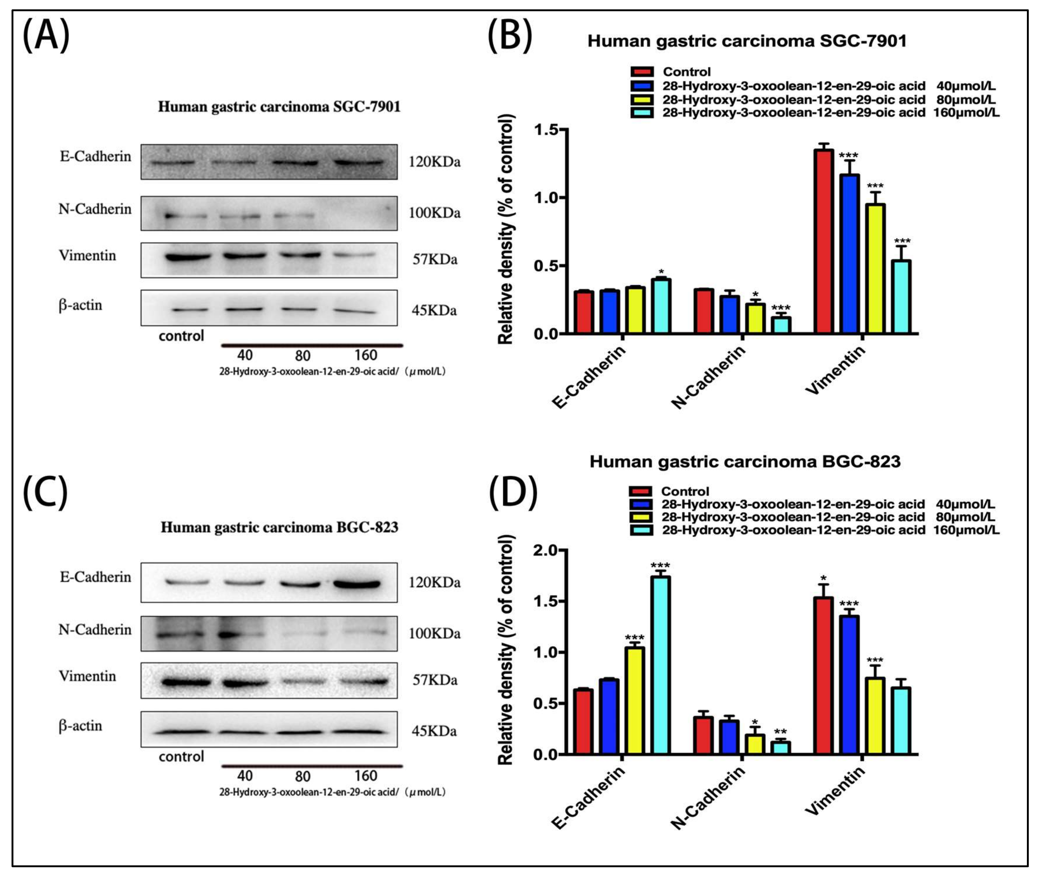 Molecules 24 03513 g006