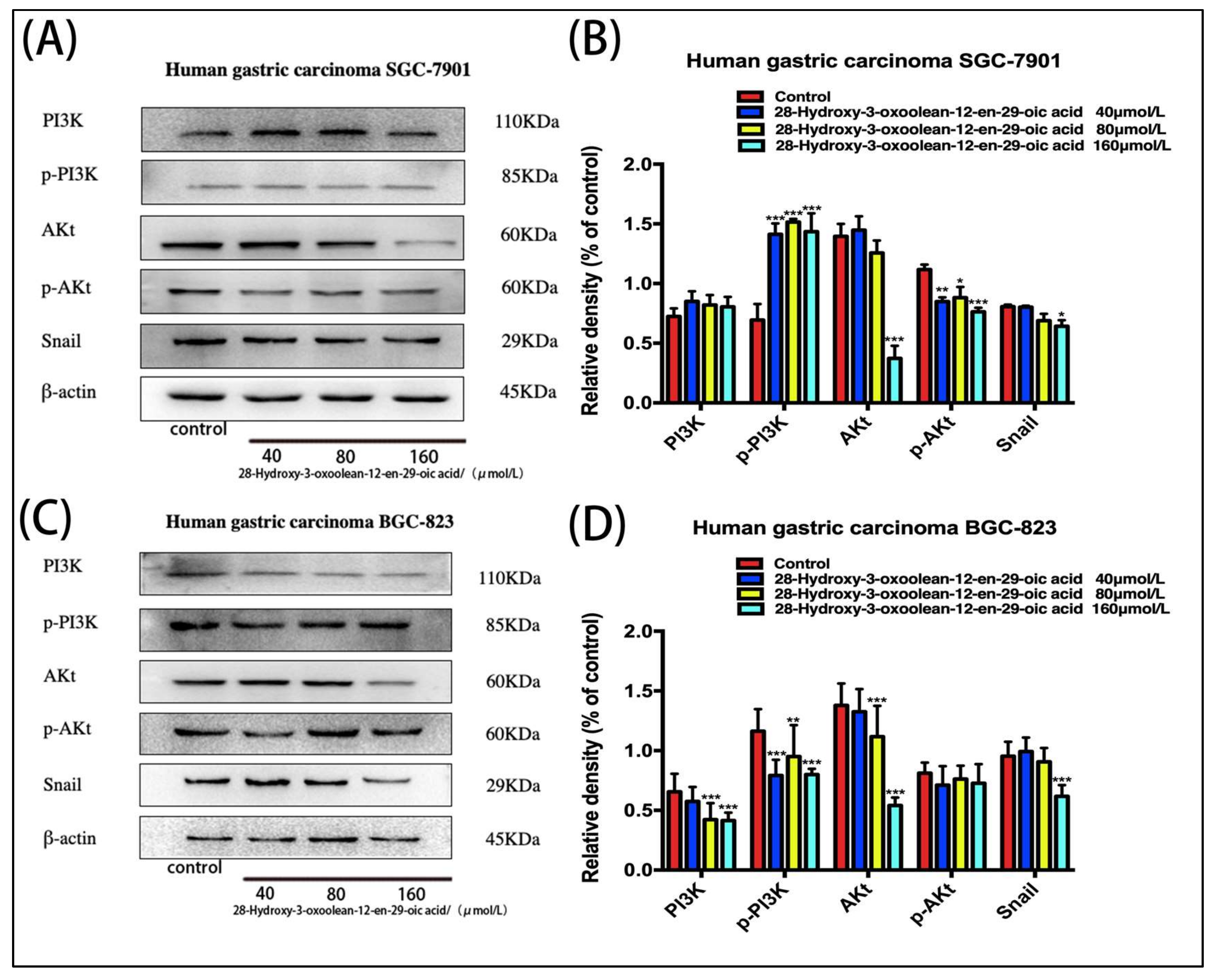 Molecules 24 03513 g007