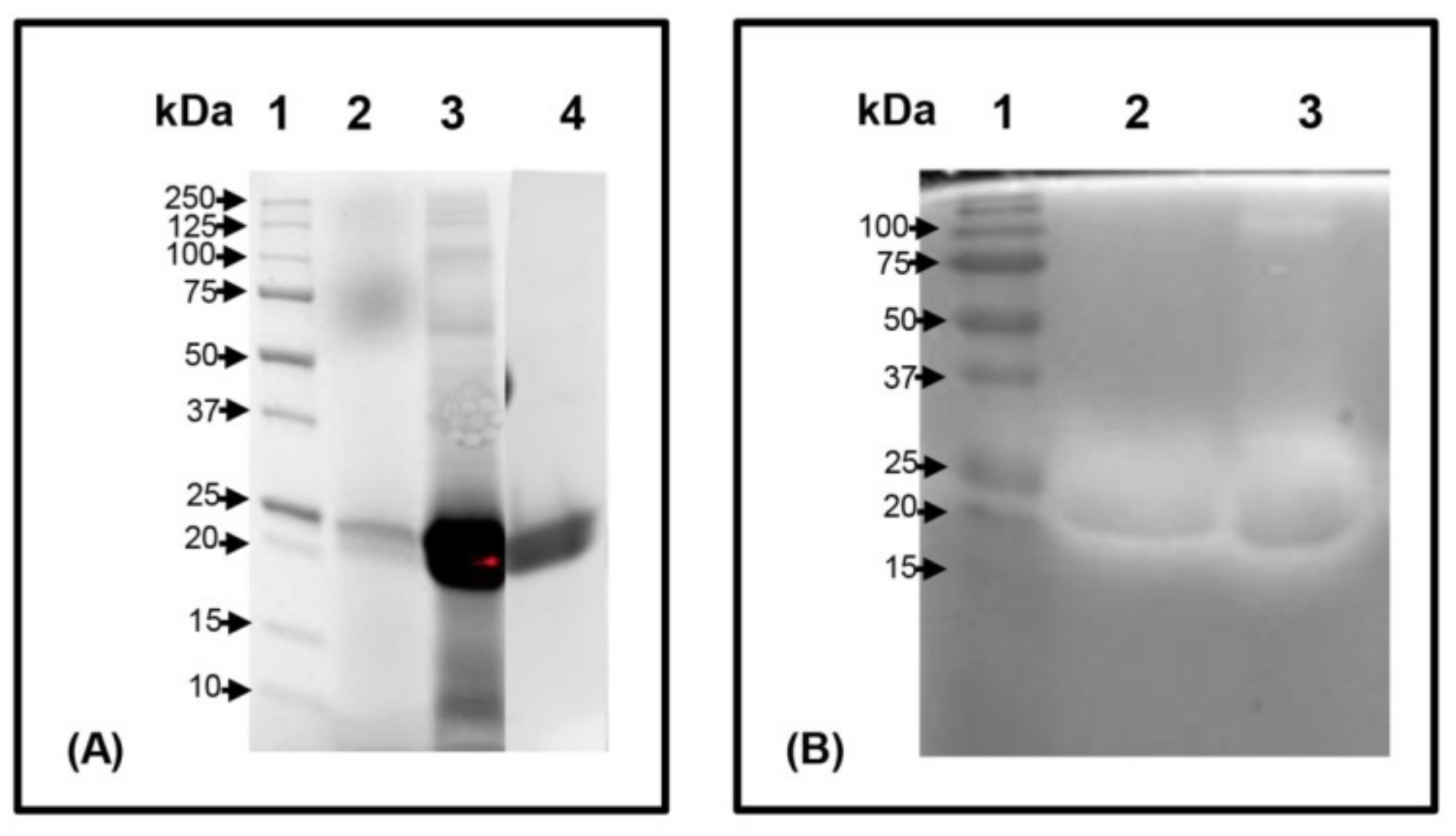 Molecules 24 03515 g002 Molecules 24 03515 g002