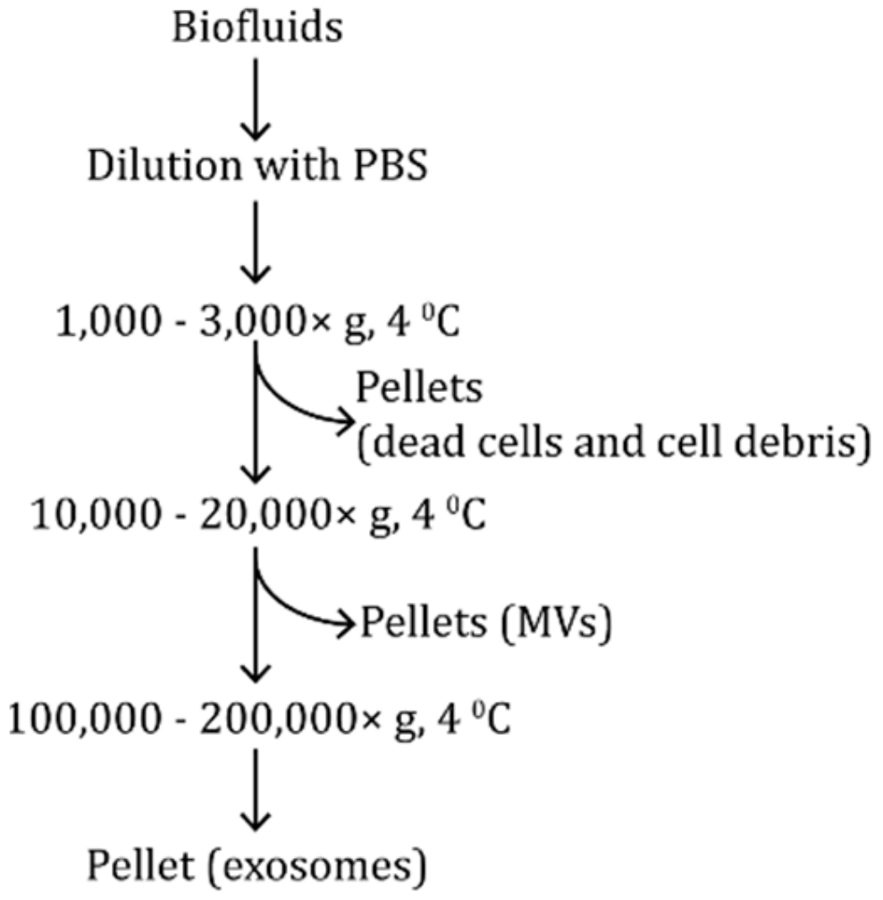Molecules 24 03516 g003 Molecules 24 03516 g003