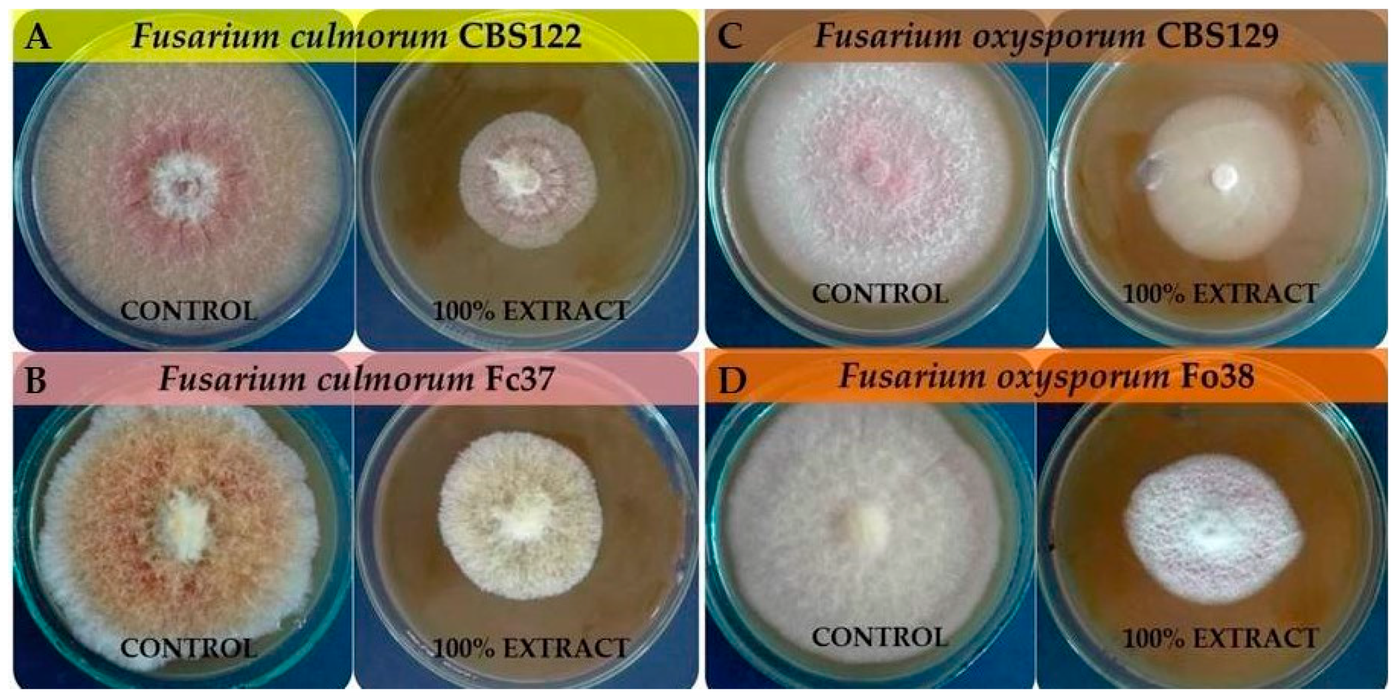 Molecules 24 03518 g003 Molecules 24 03518 g003