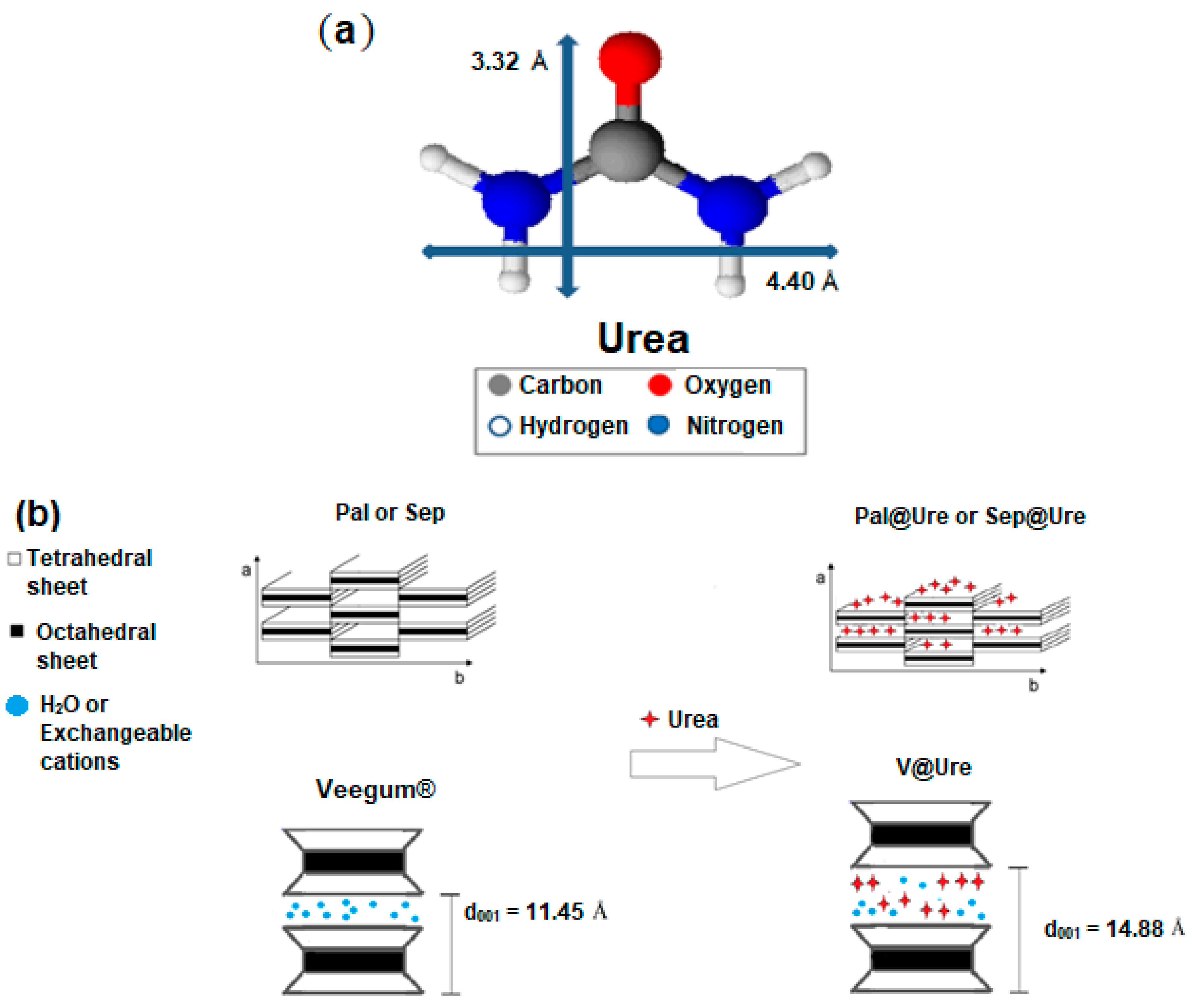 Molecules 24 03525 g002