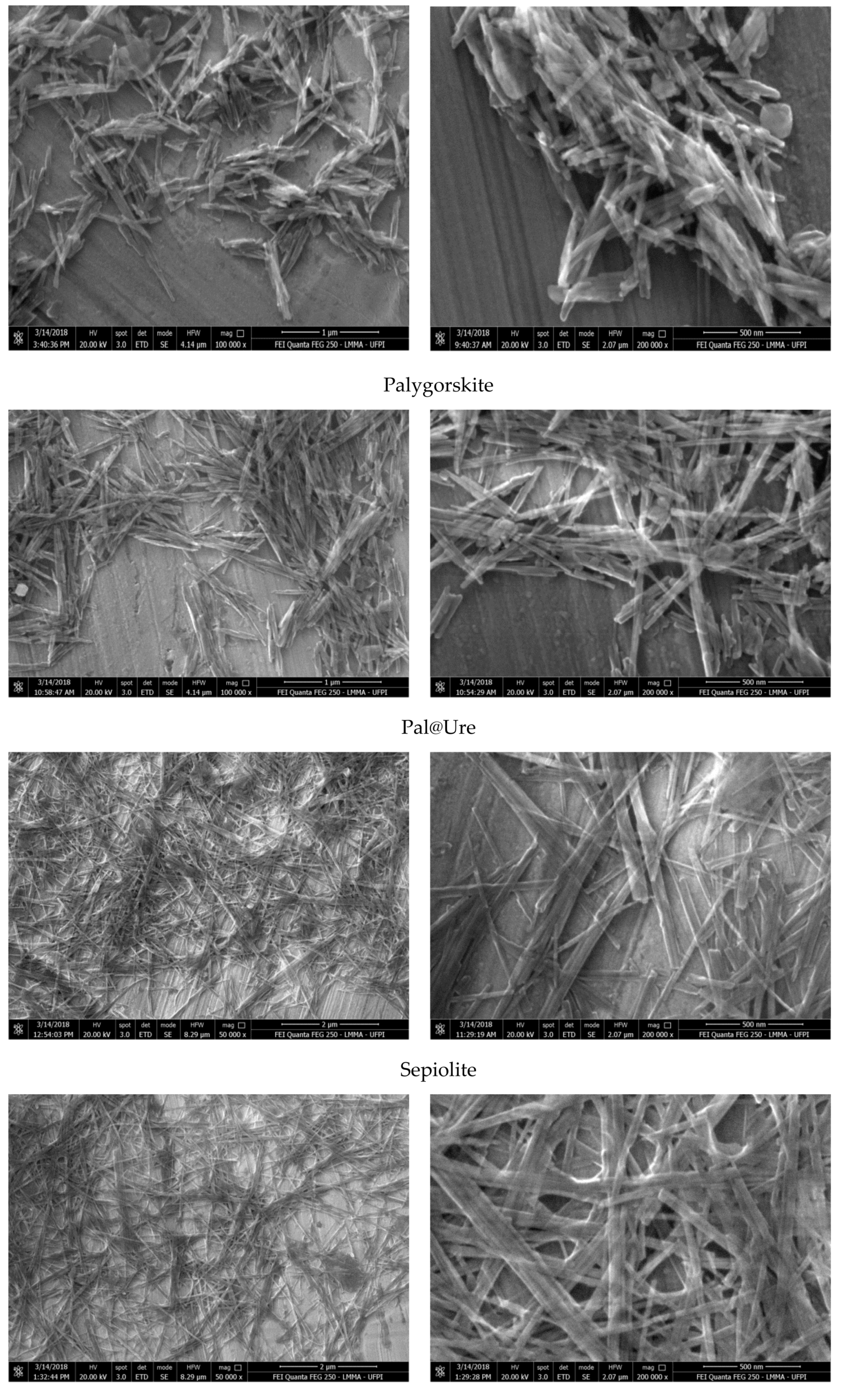 Molecules 24 03525 g004a