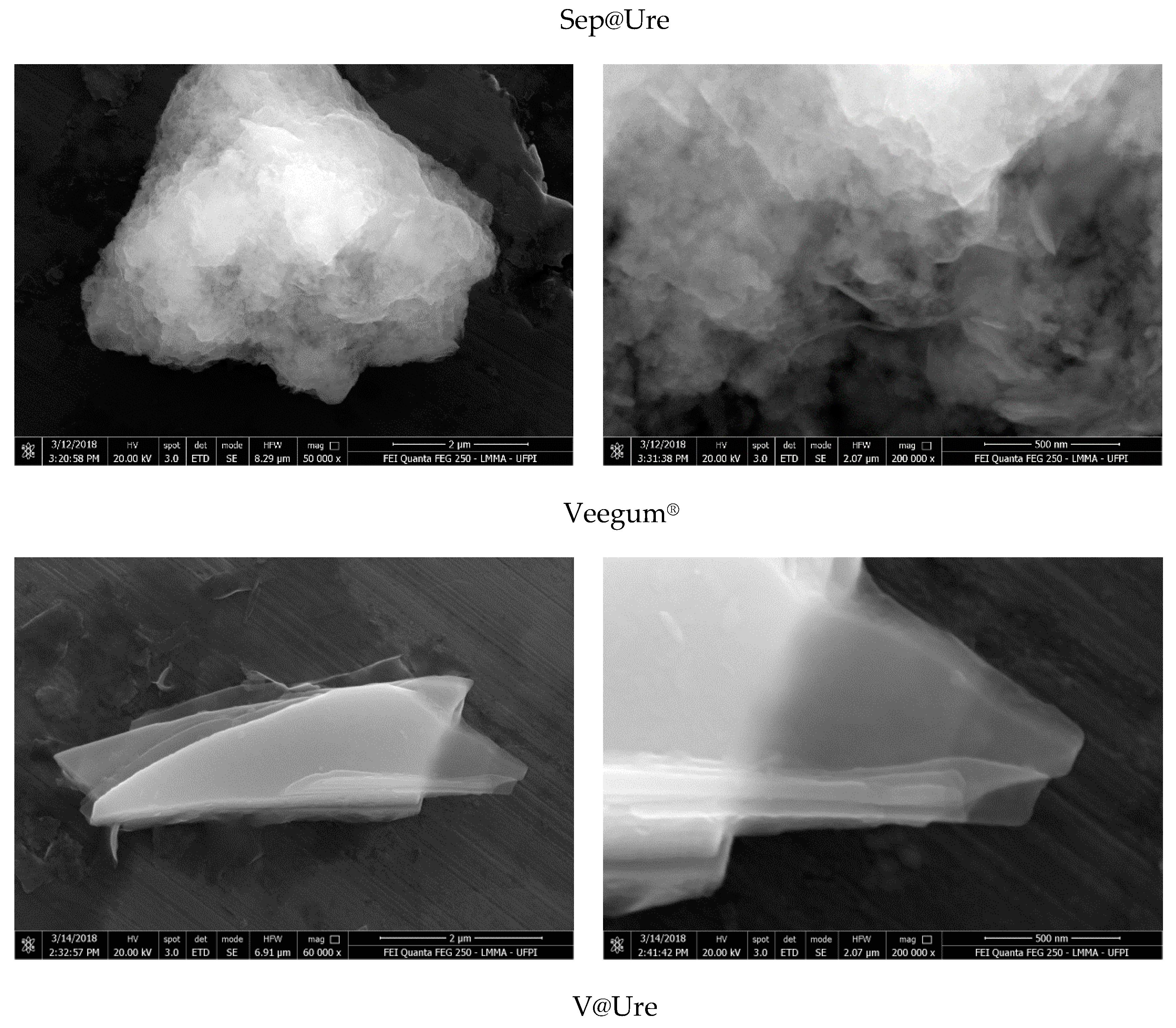 Molecules 24 03525 g004b