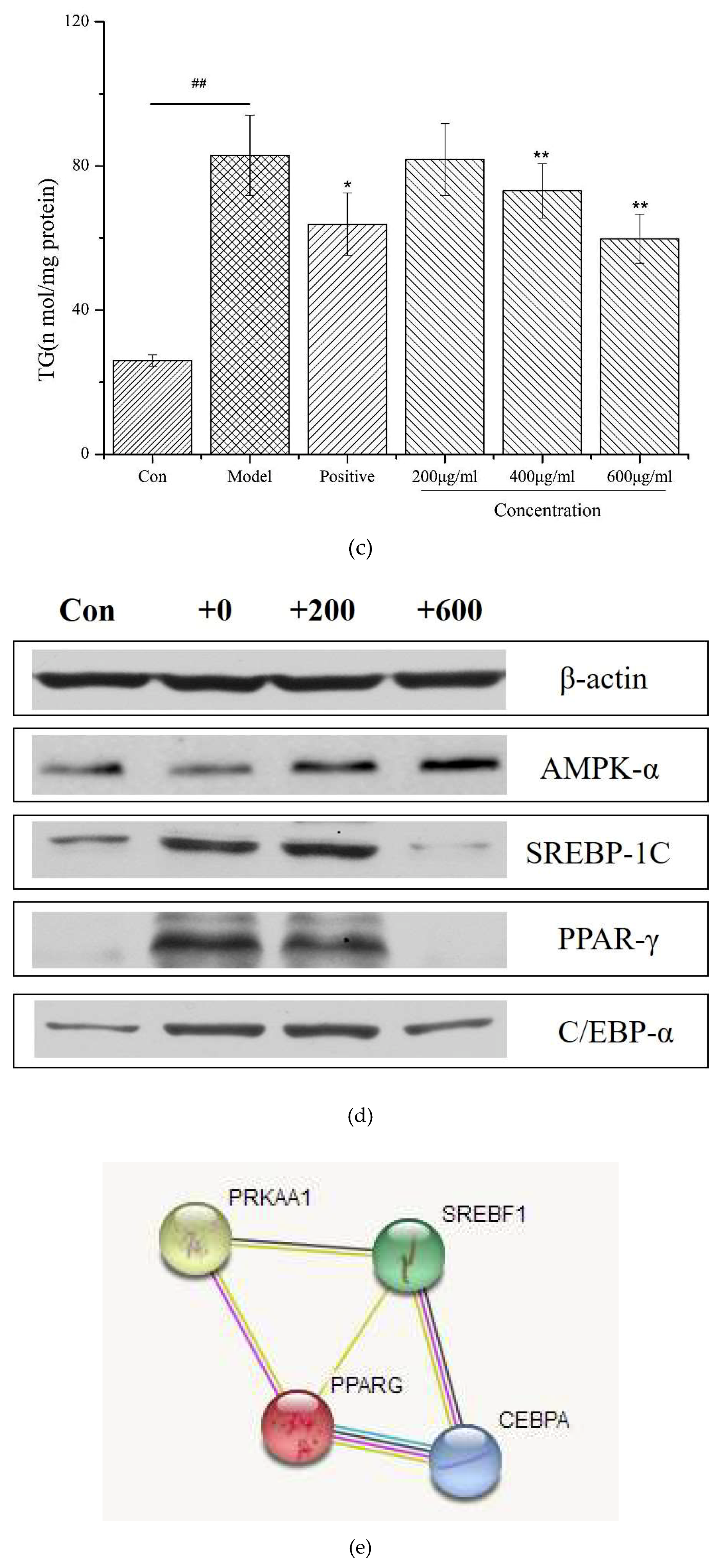 Molecules 24 03527 g003b